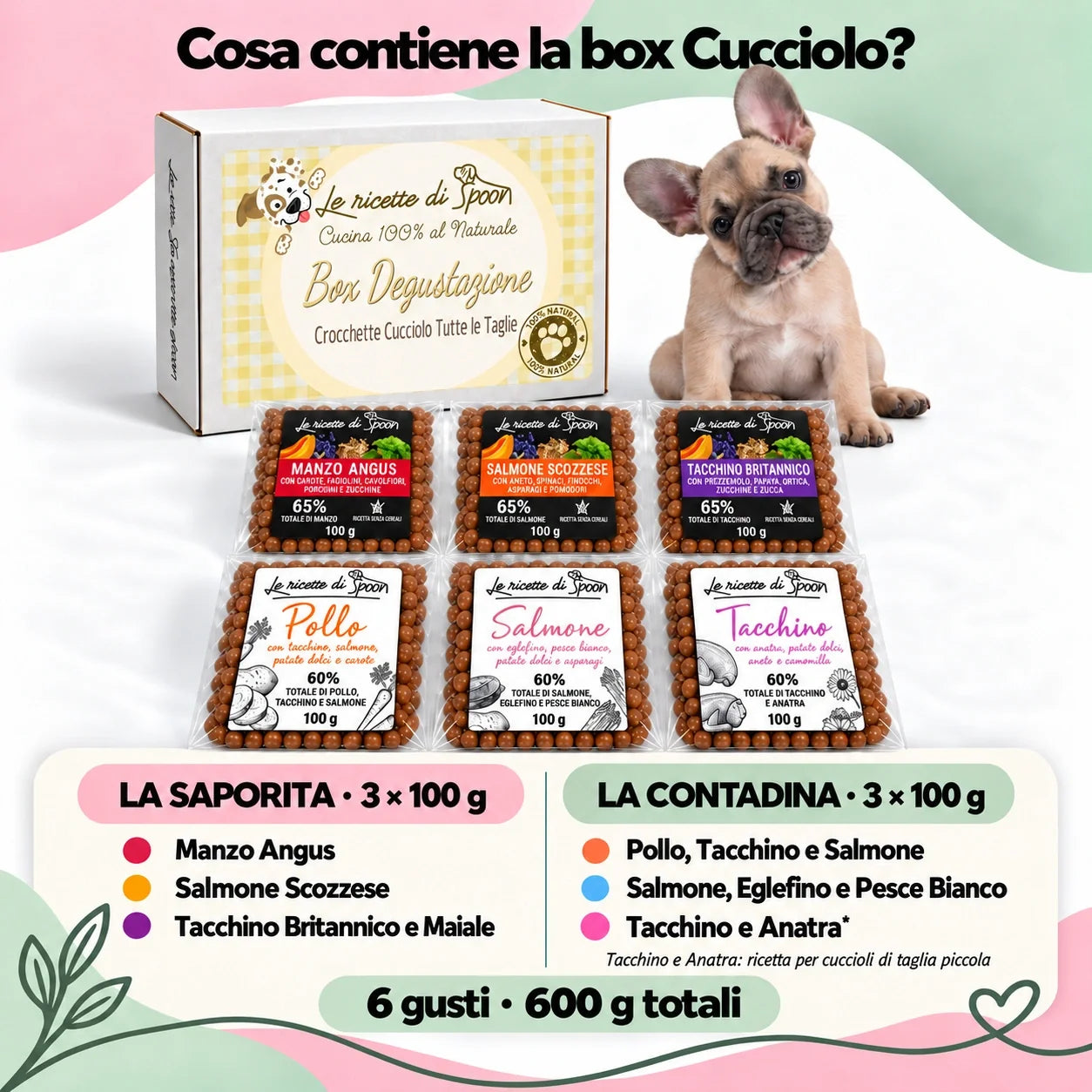 Box Cucciolo con etichetta gialla e sei sacchetti da 100 g