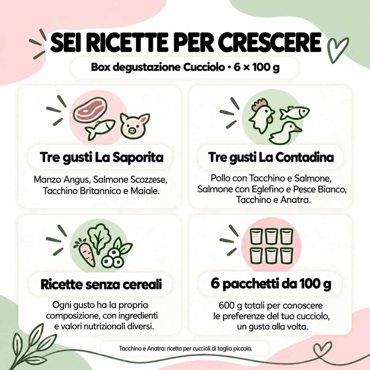 Caratteristiche delle sei ricette Cucciolo