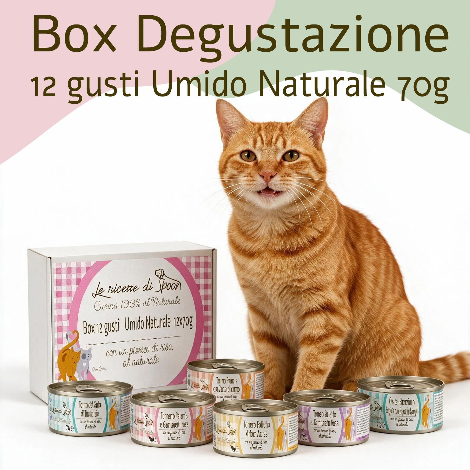 Box degustazione 12 gusti (12x70gr) umido naturale - Carne o Pesce, acqua di cottura ed un pizzico di riso, cotti al vapore in lattina