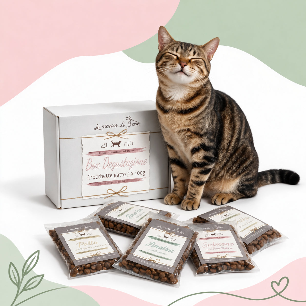 Box Degustazione Gatto Adulto - 5 Pacchetti da 100 gr