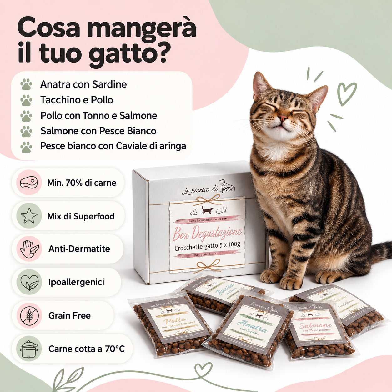 Box Degustazione Gatto Adulto - 5 Pacchetti da 100 gr