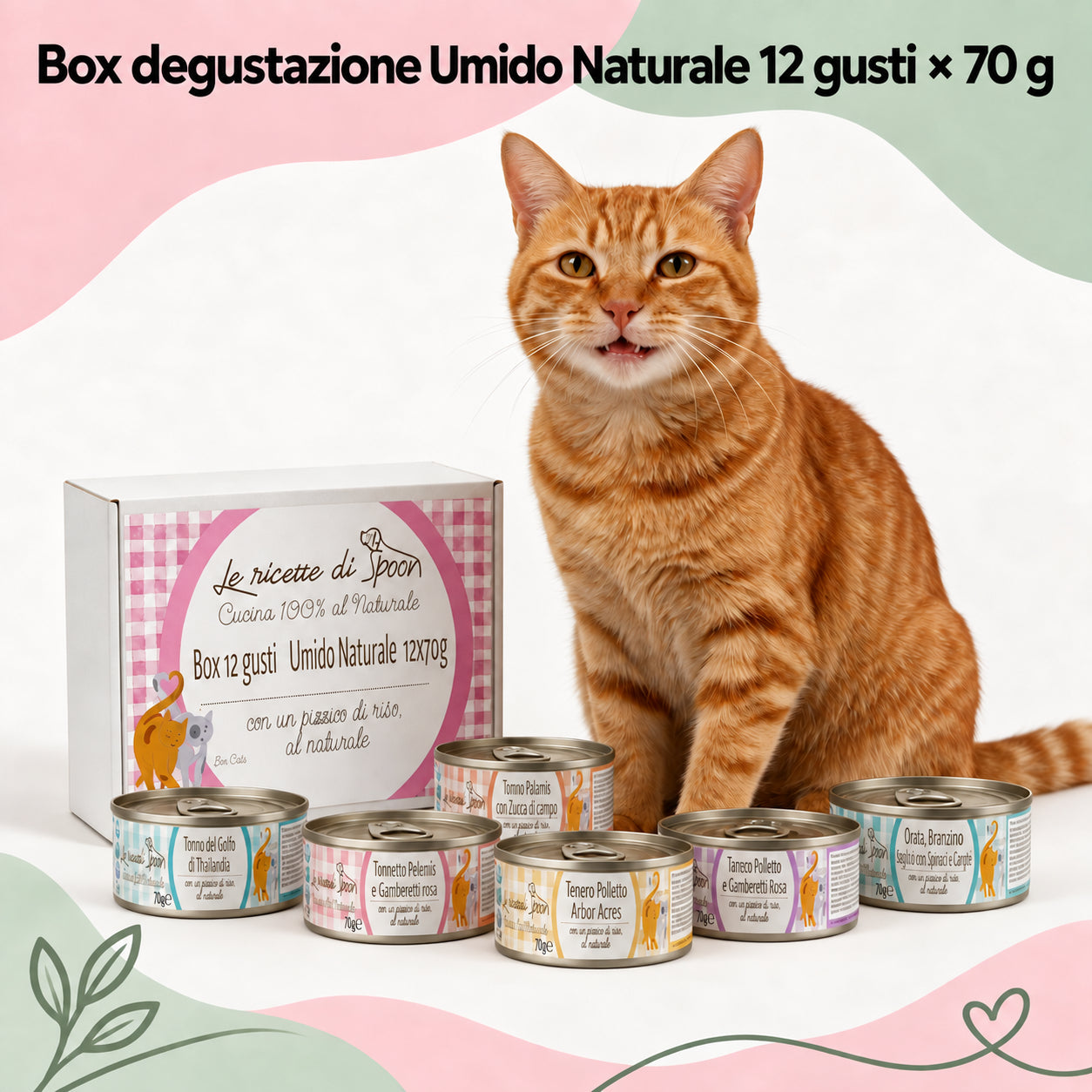 Box degustazione 12 gusti (12x70gr) umido naturale - Carne o Pesce, acqua di cottura ed un pizzico di riso, cotti al vapore in lattina
