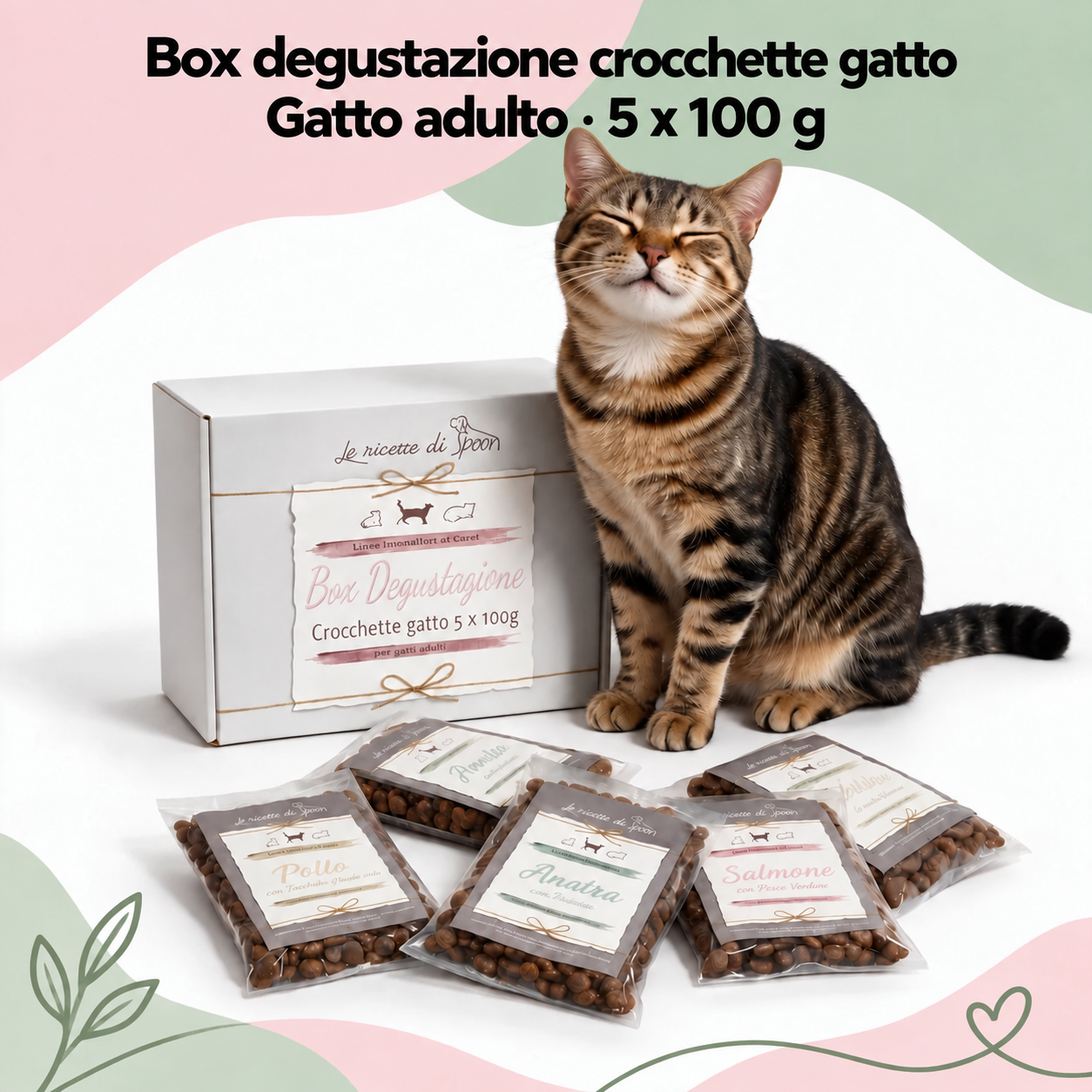 Box degustazione crocchette gatto adulto, 5 x 100 g