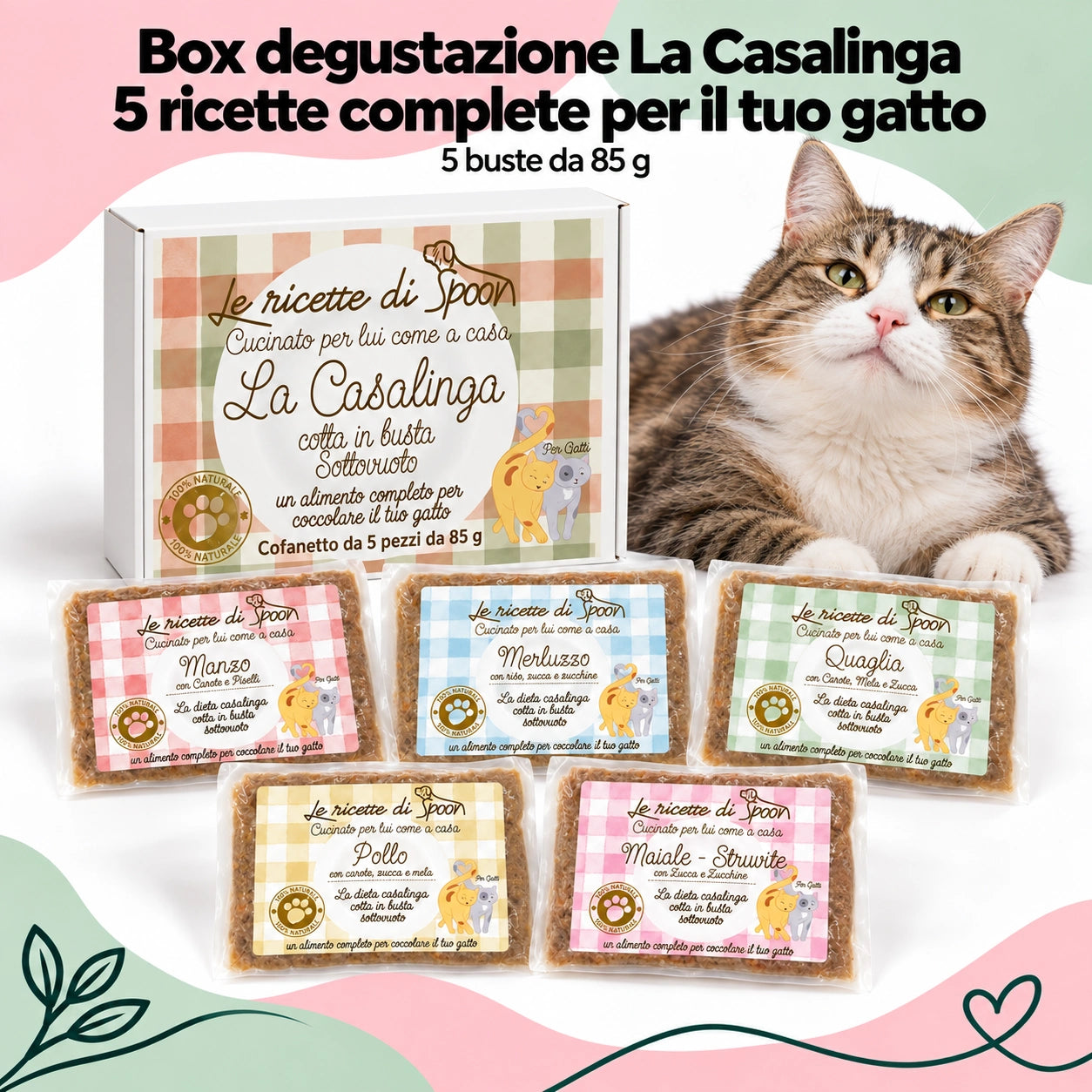 box la casalinga gatto 5 gusti hero