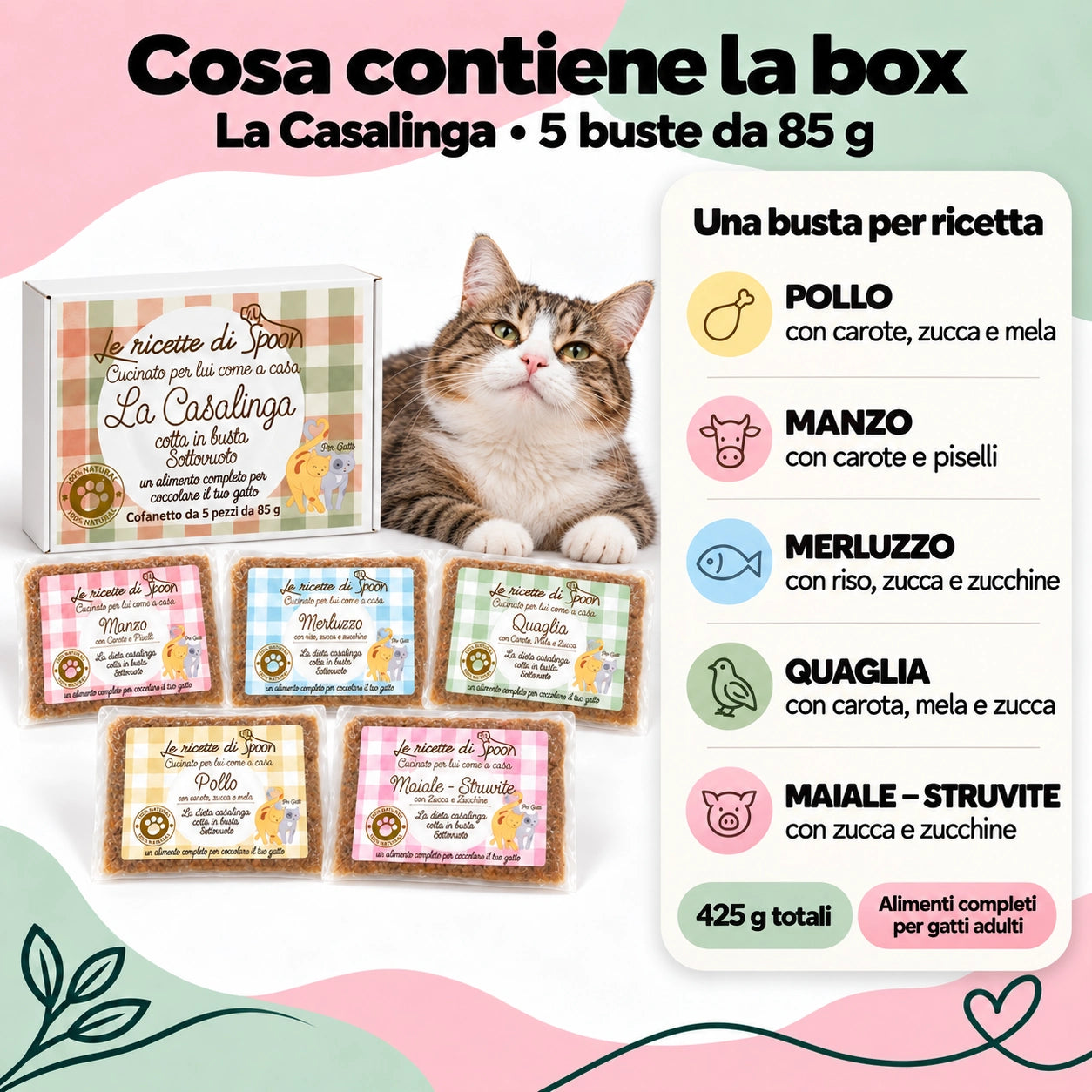 box la casalinga gatto 5 gusti hero