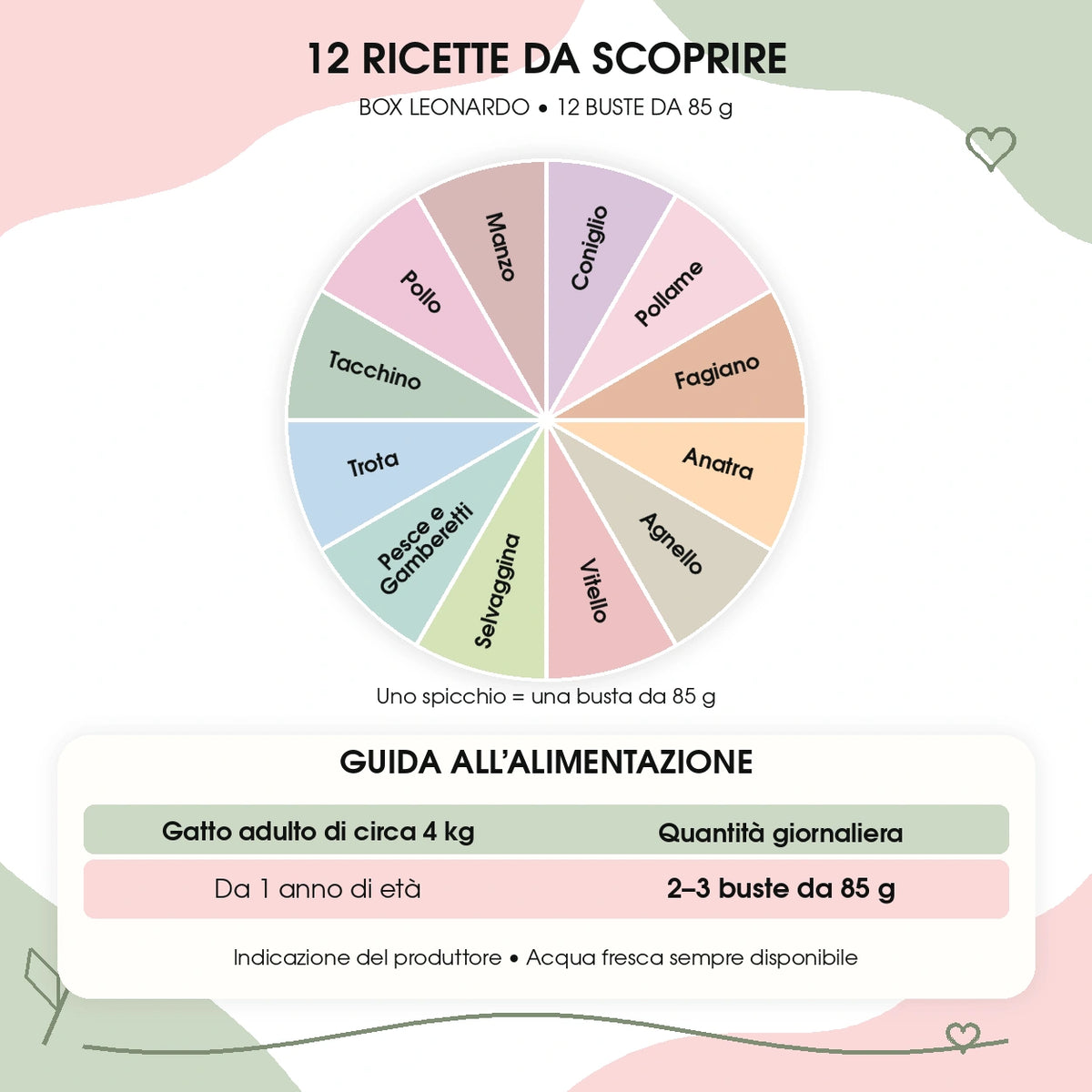 12 ricette e guida all’alimentazione