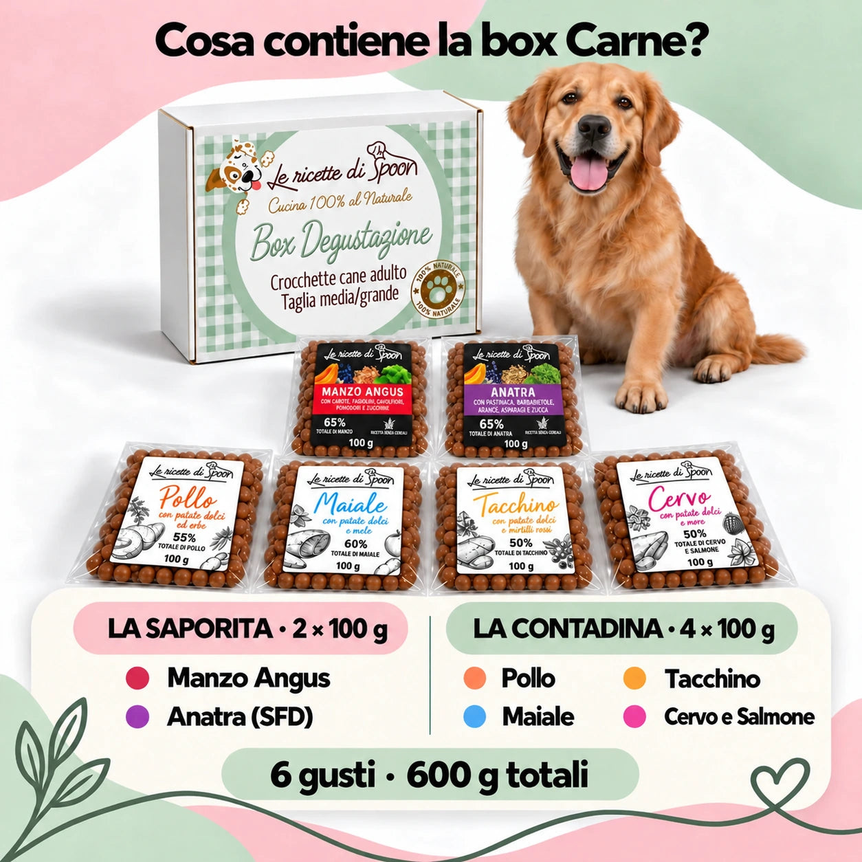 Box degustazione cane adulto taglia media/grande 6 × 100 g con Manzo Angus e Anatra SFD La Saporita e quattro ricette La Contadina