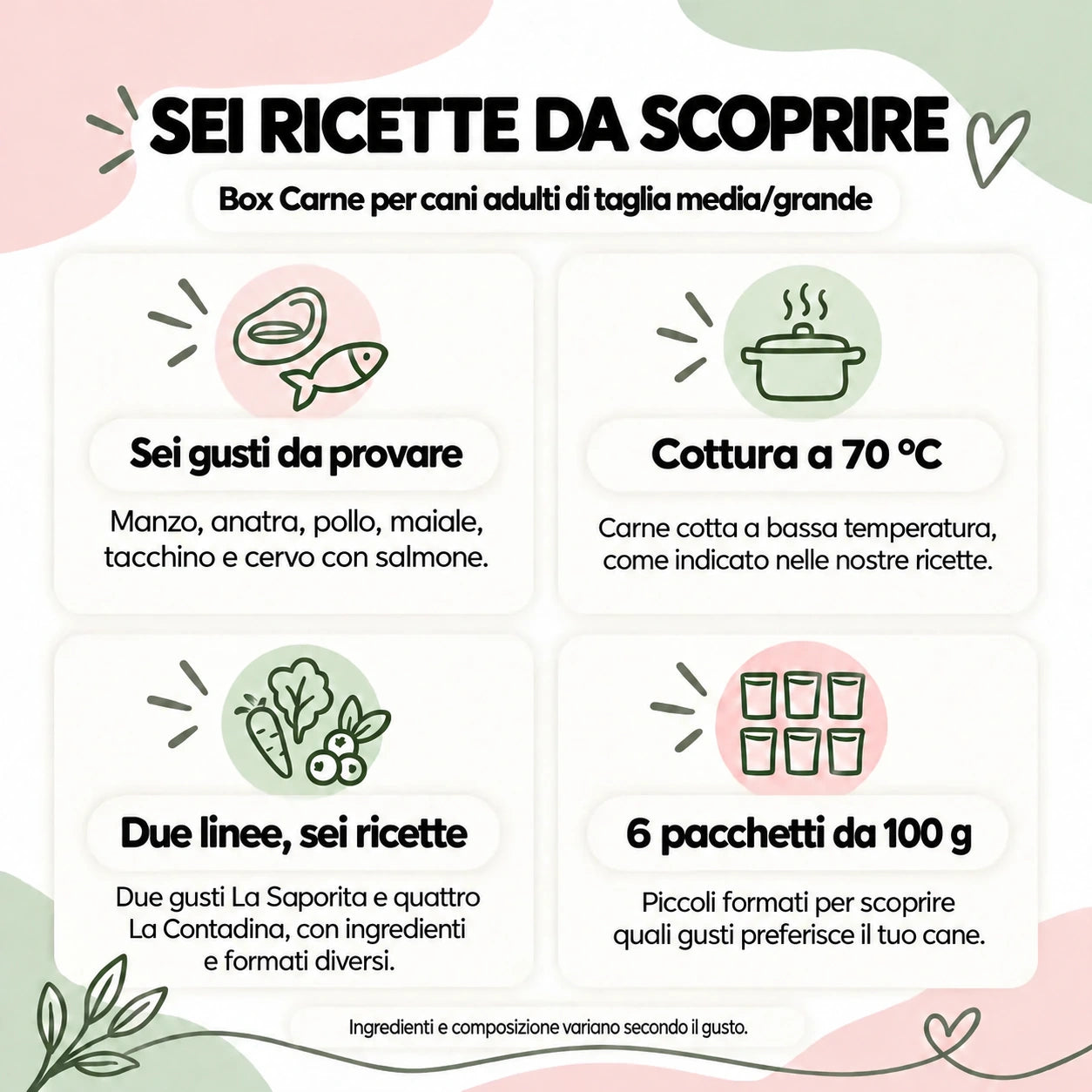 Sei ricette della box cane adulto media/grande: manzo, anatra, pollo, maiale, tacchino e cervo con salmone