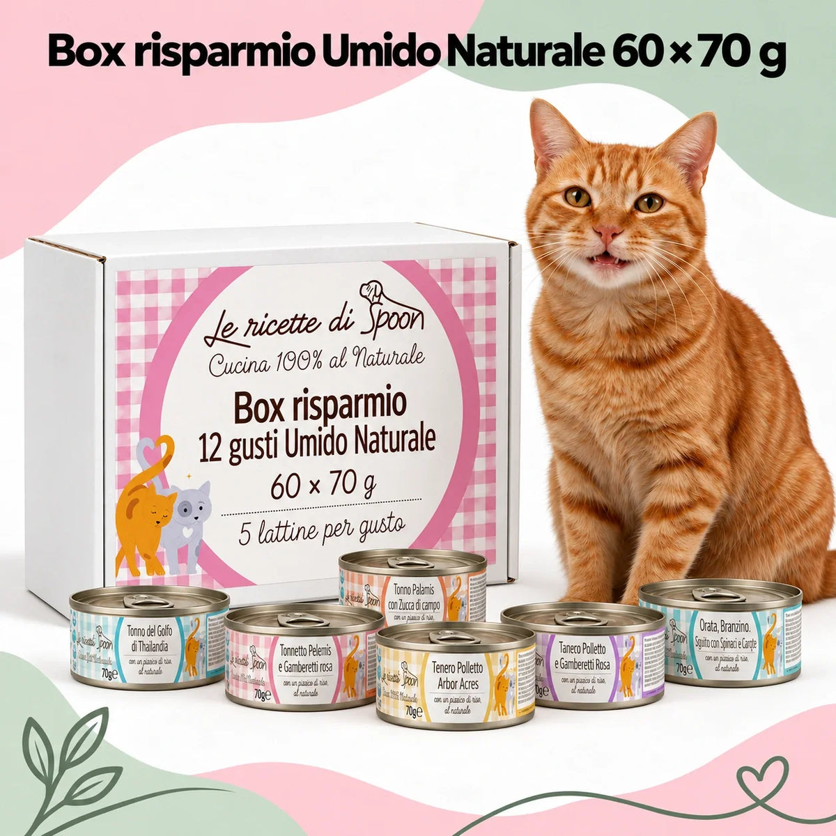 Box risparmio Umido Naturale Gatto: 60 lattine da 70 g, 5 per ciascuno dei 12 gusti