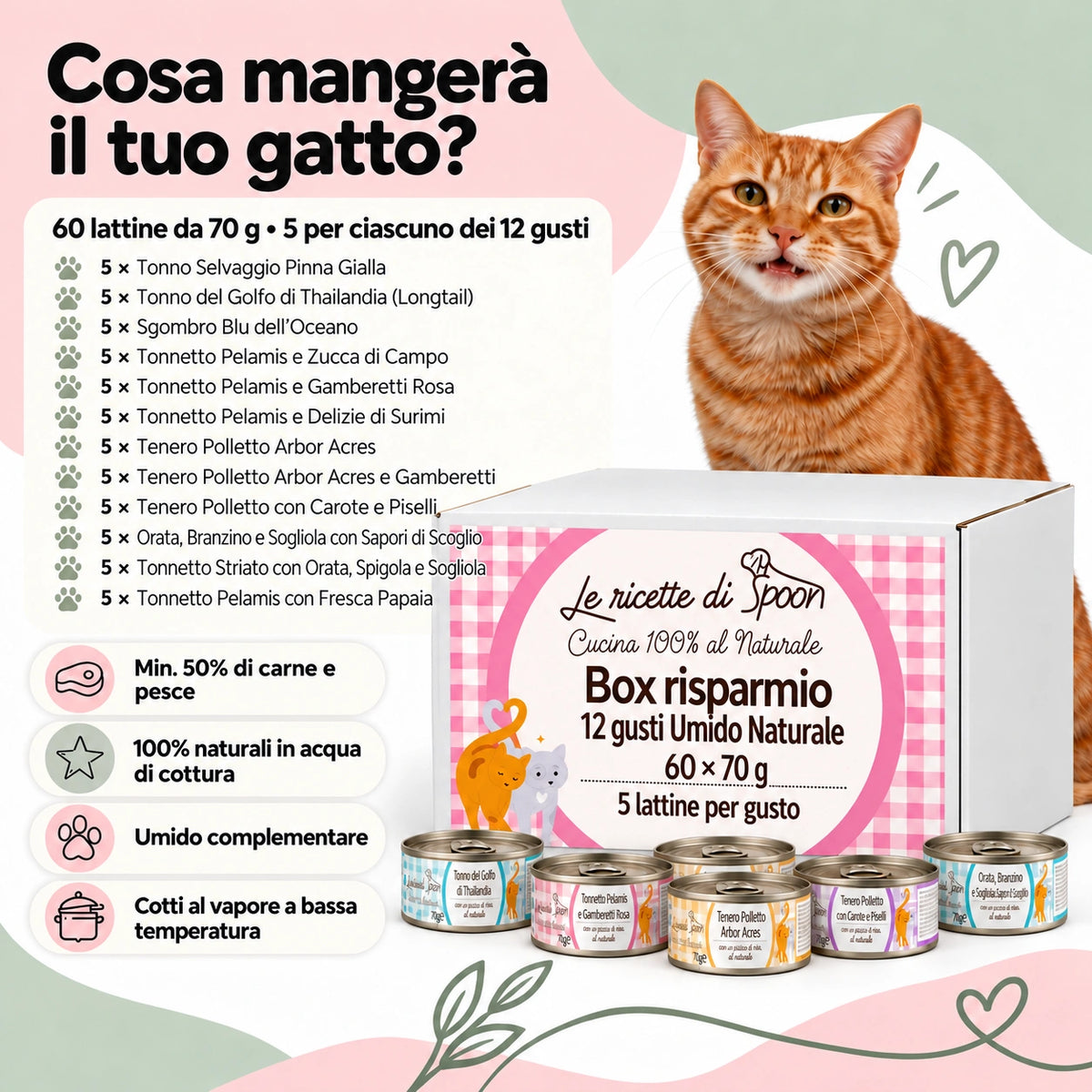 Contenuto box risparmio: 12 gusti di umido naturale, 5 lattine per gusto