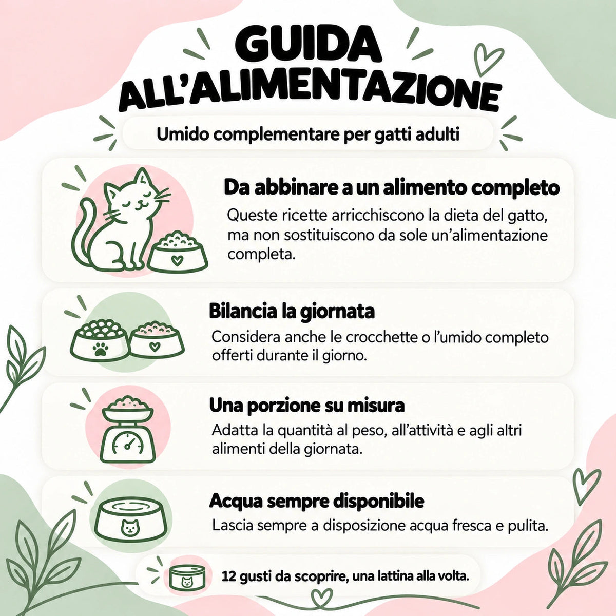 Box Risparmio Umido Naturale Gatto: guida all’alimentazione complementare