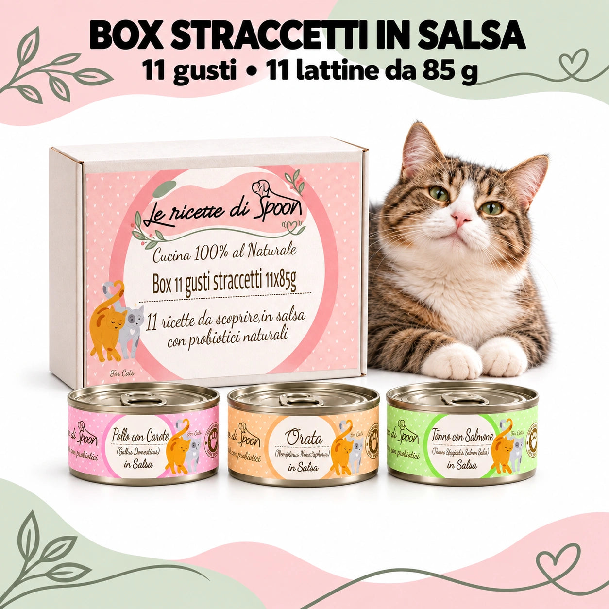 Box Straccetti gatto 11 gusti da 85 g con gatto soddisfatto su fondo bianco