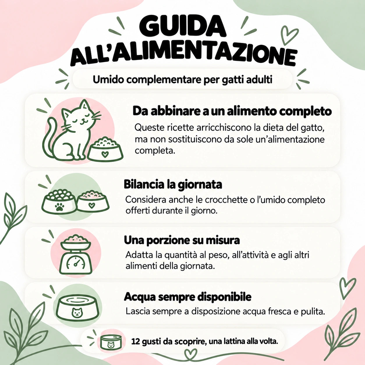 Box umido naturale gatto Le Ricette Semplici: guida alimentazione – Le Ricette di Spoon