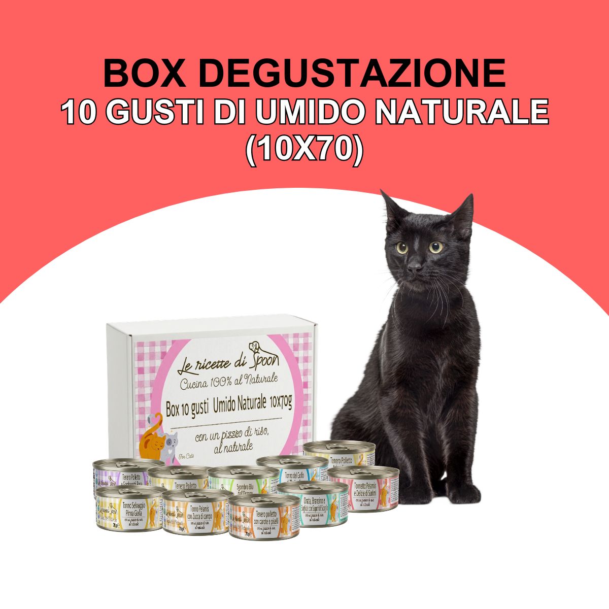 Box degustazione 10 gusti (10x70gr) umido naturale - Carne o Pesce, acqua di cottura ed un pizzico di riso, cotti al vapore in lattina