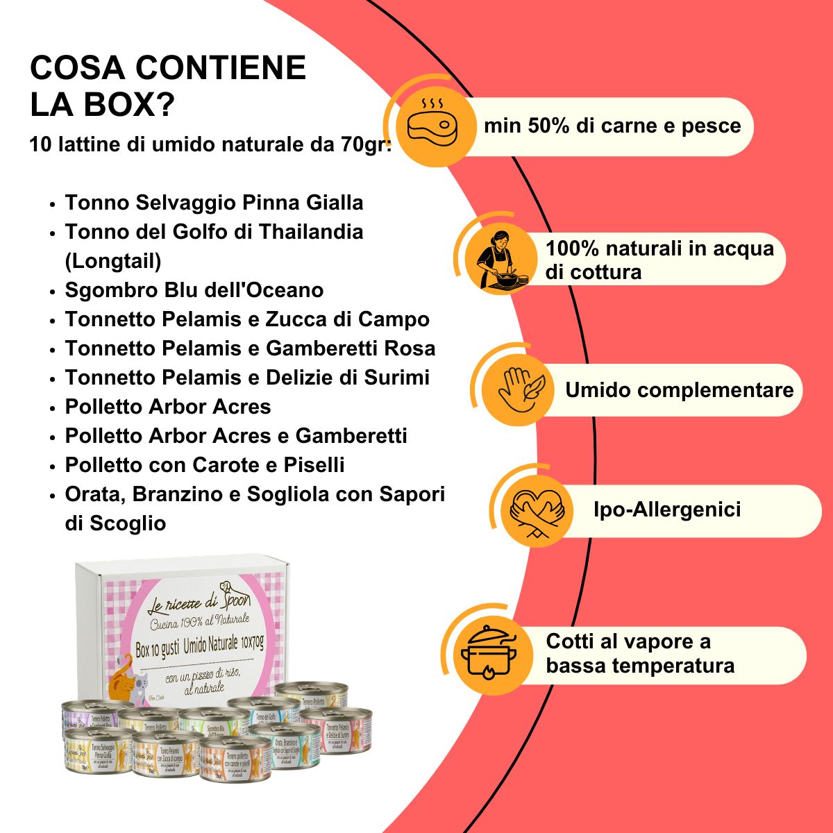 Box degustazione 10 gusti (10x70gr) umido naturale - Carne o Pesce, acqua di cottura ed un pizzico di riso, cotti al vapore in lattina