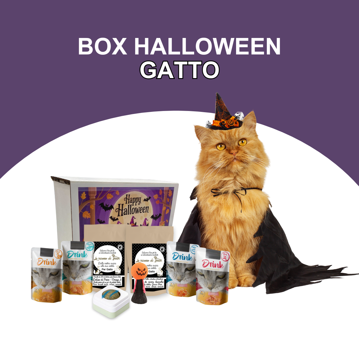 Box Halloween per Gatti