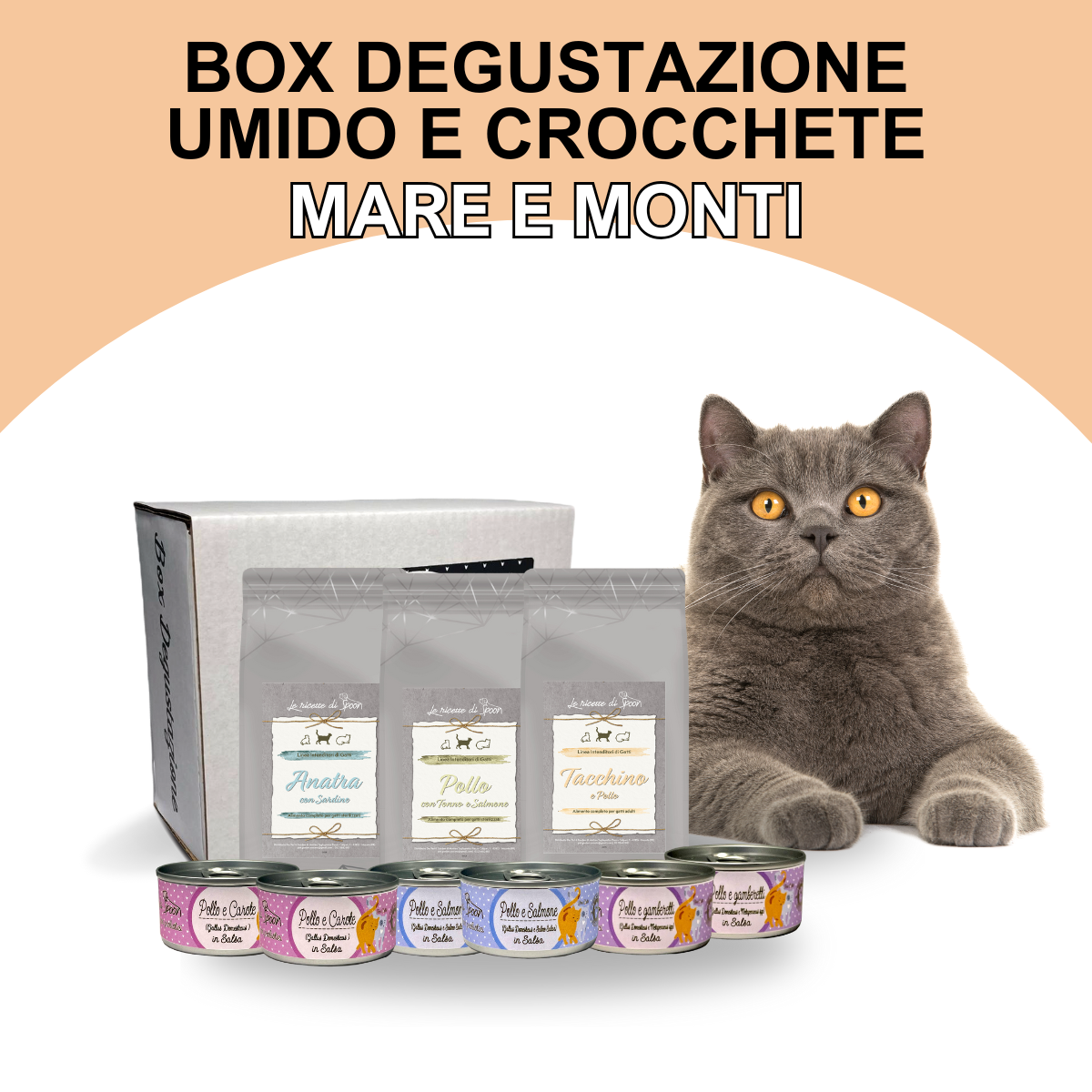 Box Degustazione Umido e Secco Gatto - Mare e Monti