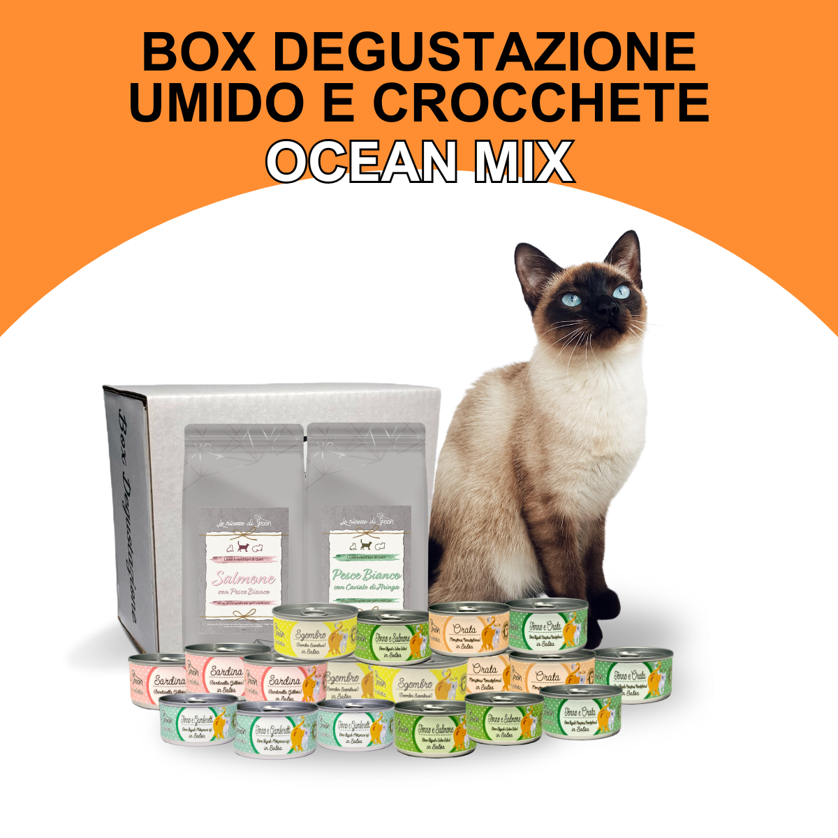 Box Degustazione Umido e Secco Gatto - Ocean Mix