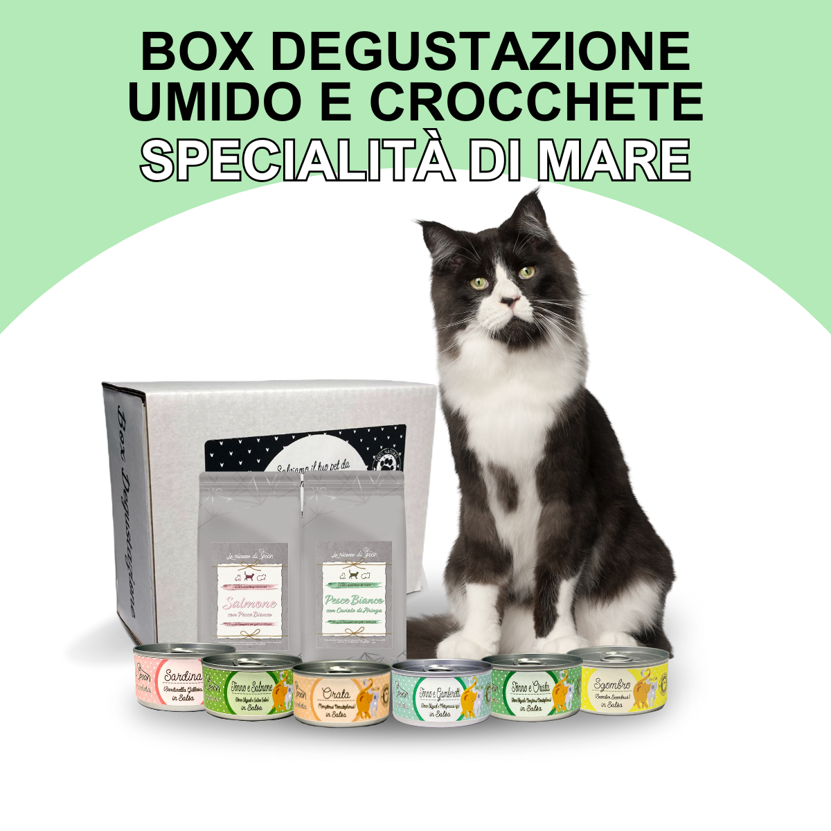 Box Degustazione Umido e Secco Gatto - Specialità di Mare