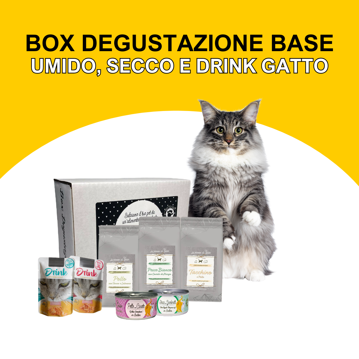 Box Degustazione Gatto Base - 2 lattine di umido, 3 sacchetti di crocchette e 2 drink