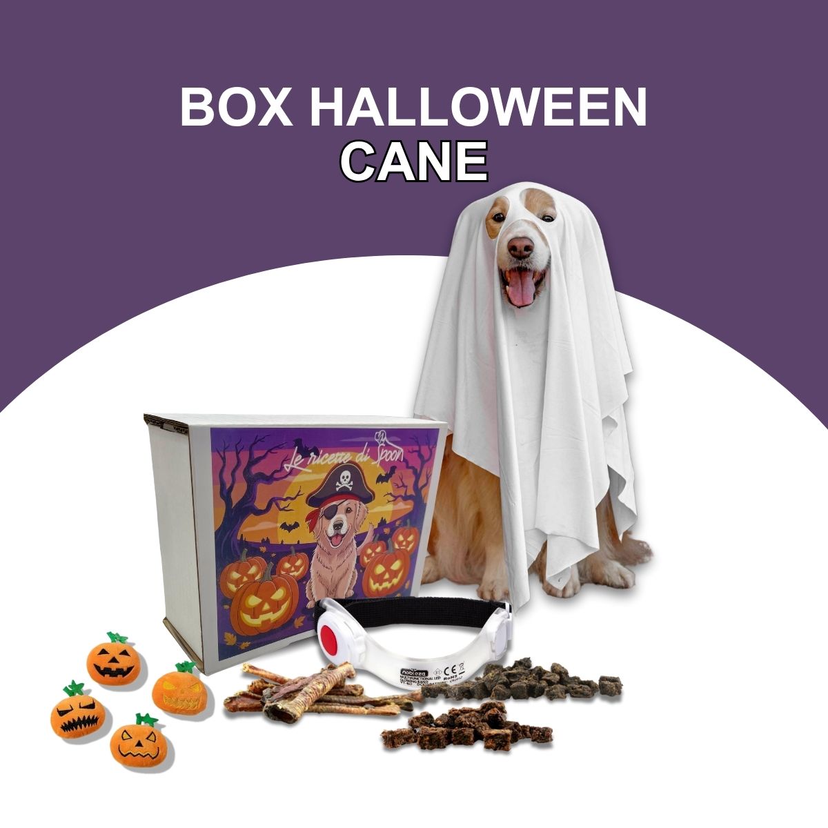Box Halloween per Cani - Limited edition