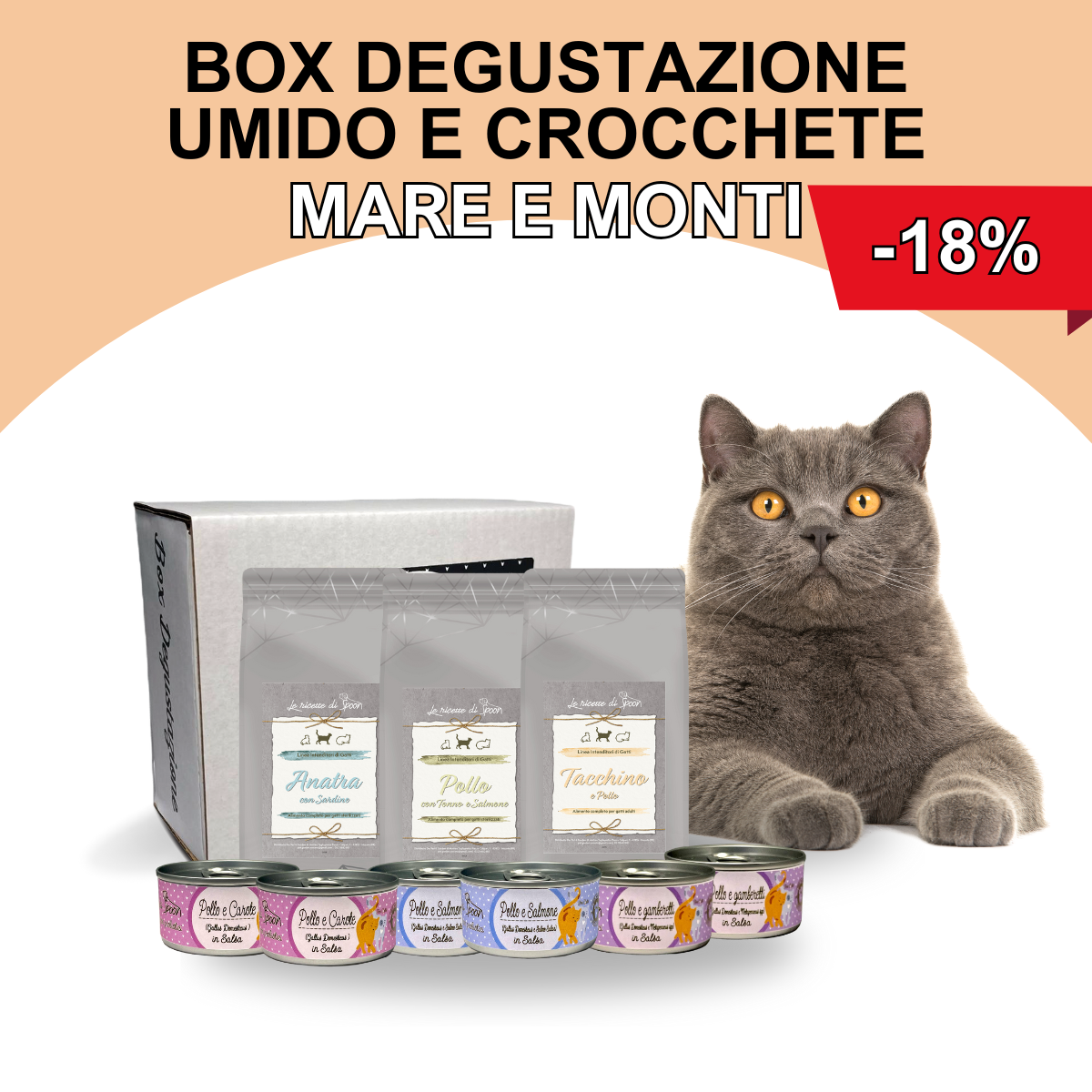 Box Degustazione Umido e Secco Gatto - Mare e Monti