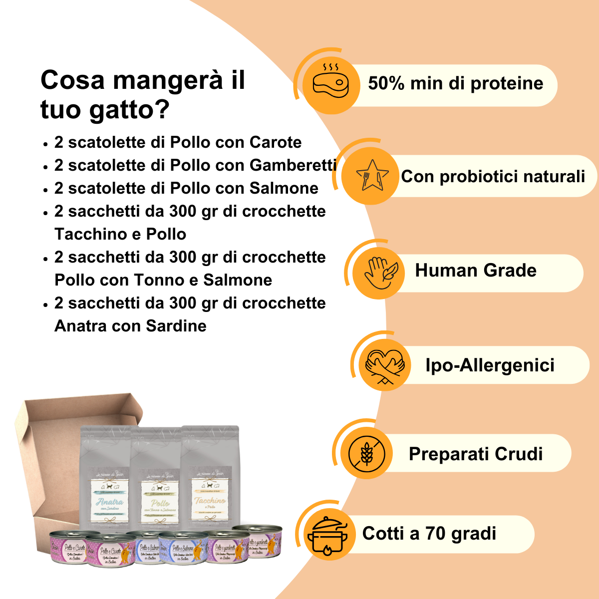 Box Degustazione Umido e Secco Gatto - Mare e Monti