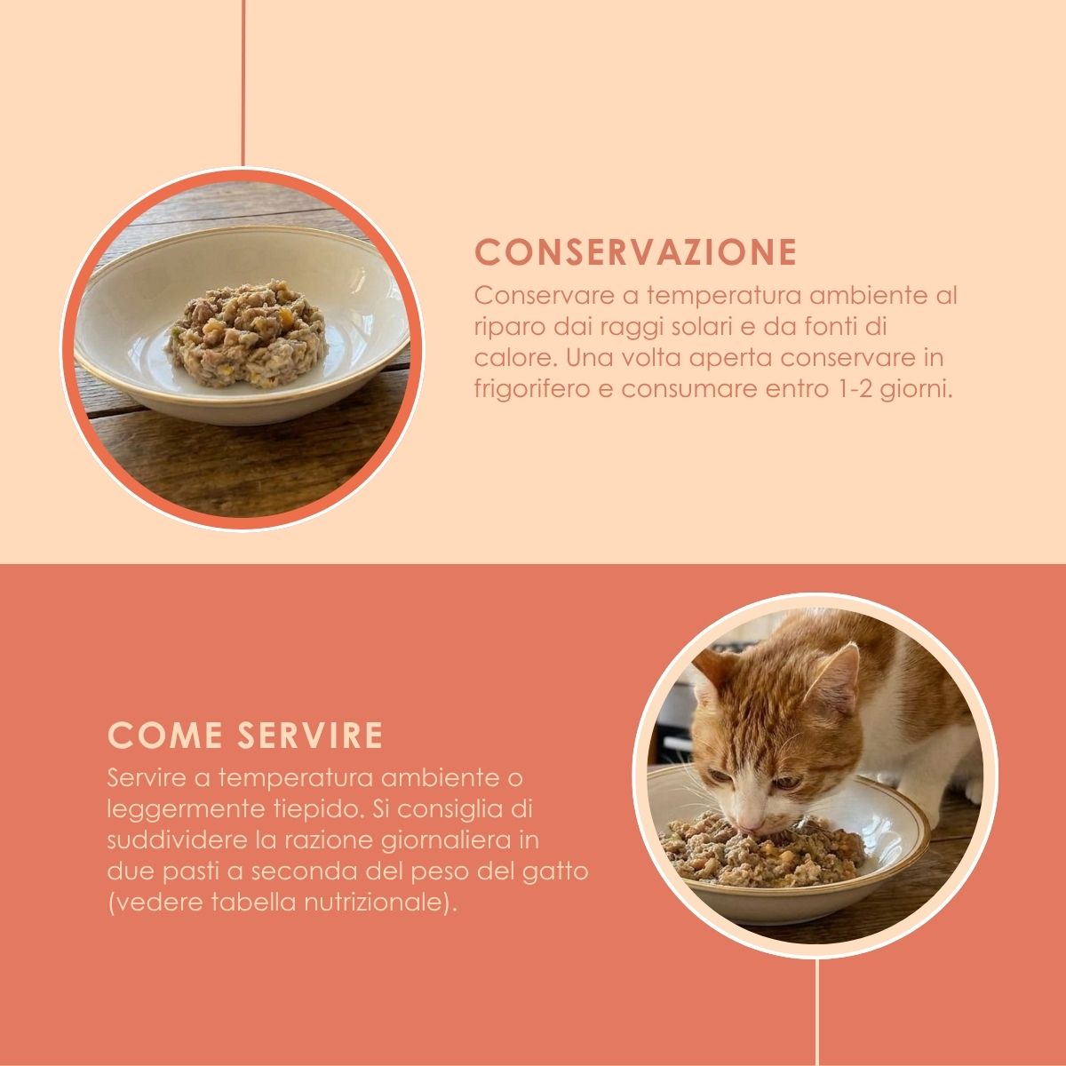Pappa Casalinga alimento completo per Gatto adulto: Quaglia con Carota, Mela e Zucca cotta in busta sottovuoto 85g