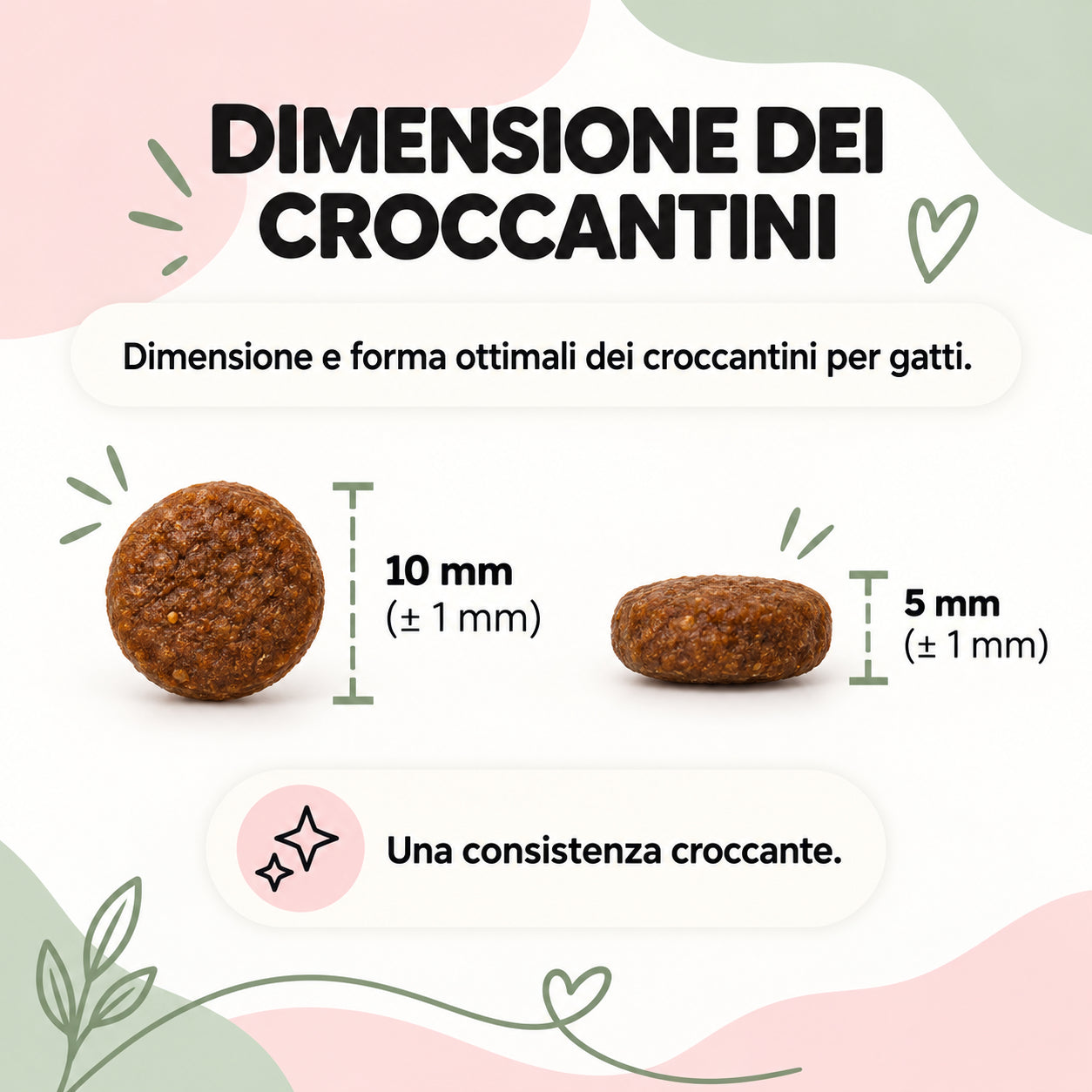 Box Degustazione Gatto Adulto - 5 Pacchetti da 100 gr