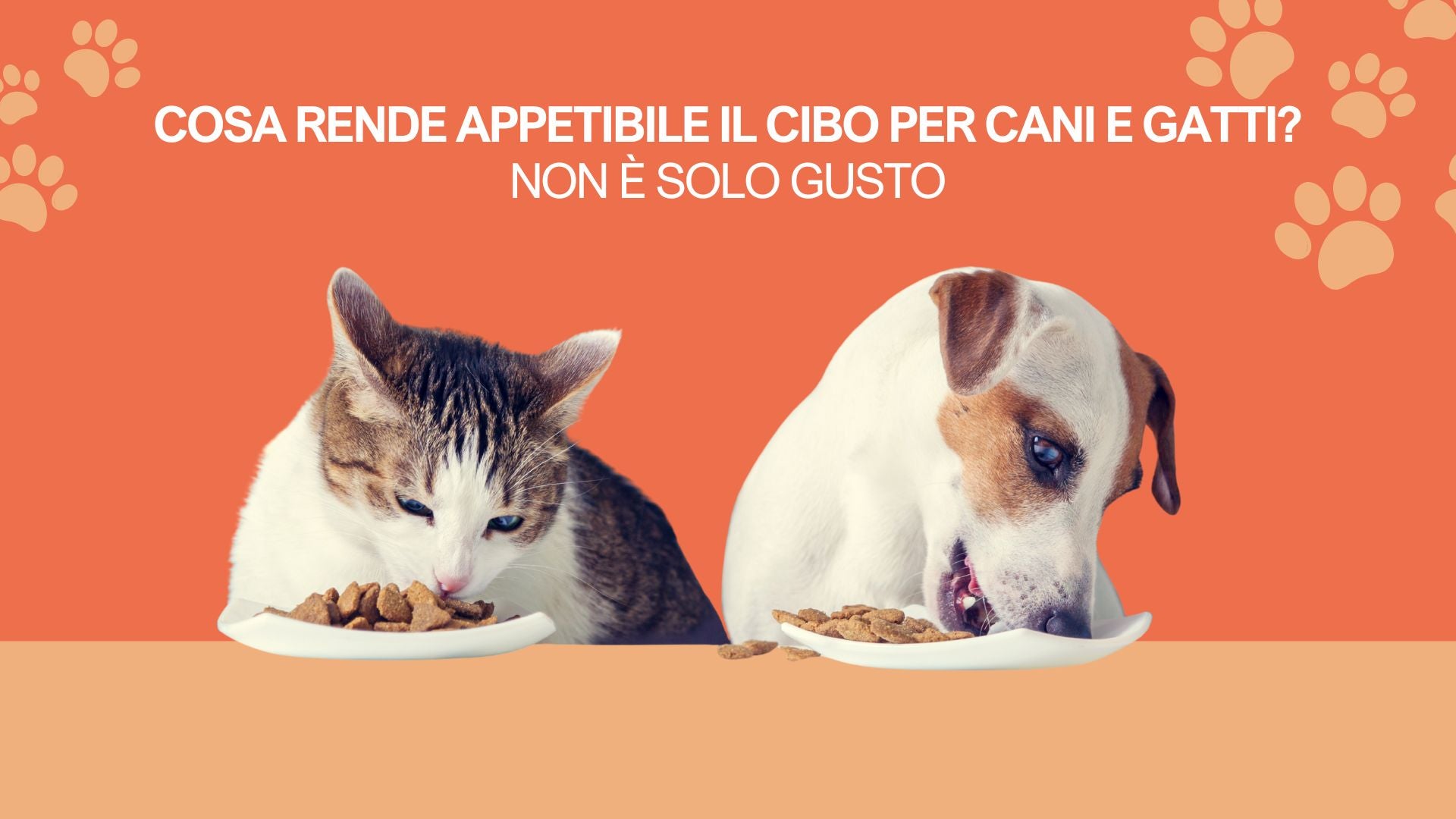 10 cibi vietati per il tuo gatto