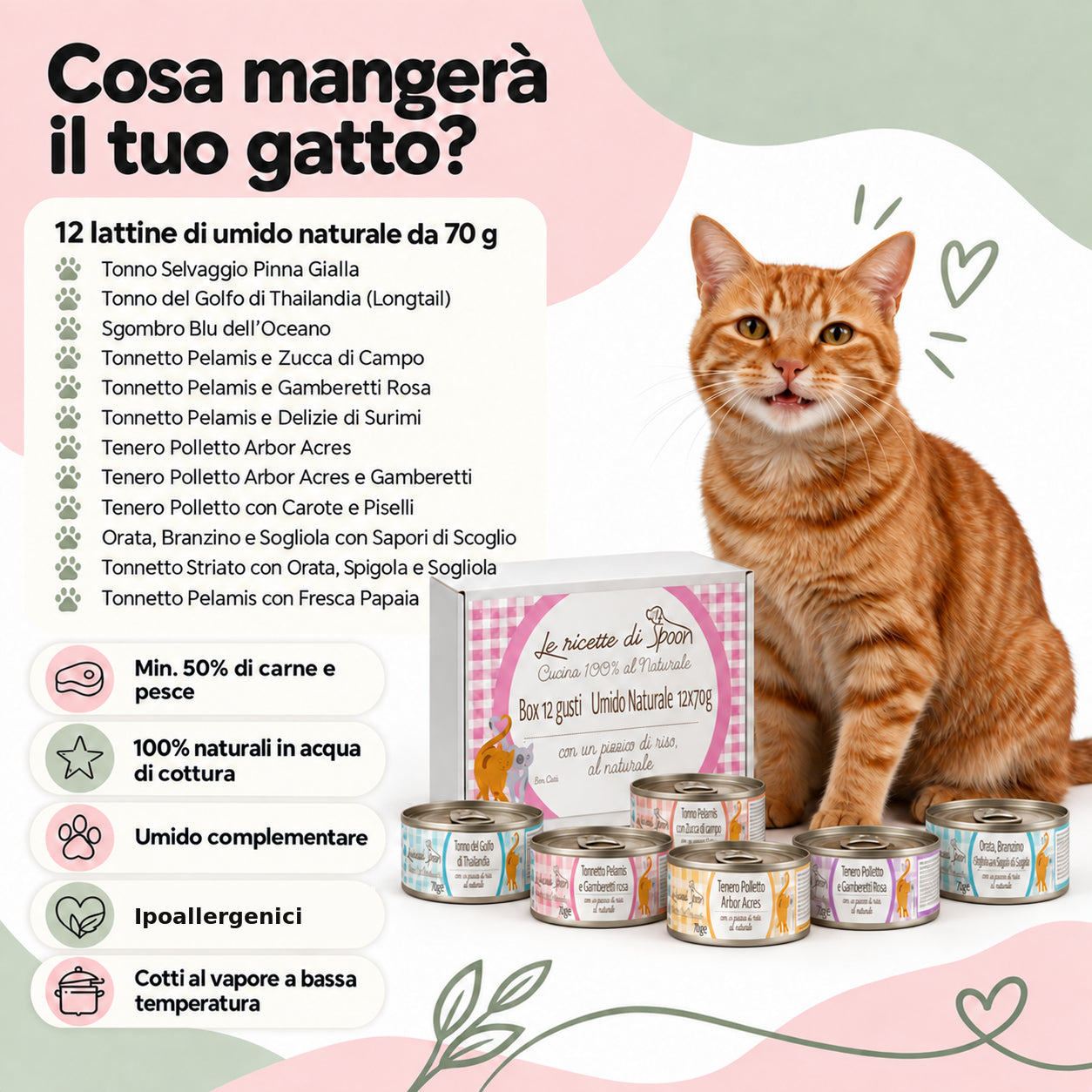 Box degustazione 12 gusti (12x70gr) umido naturale - Carne o Pesce, acqua di cottura ed un pizzico di riso, cotti al vapore in lattina