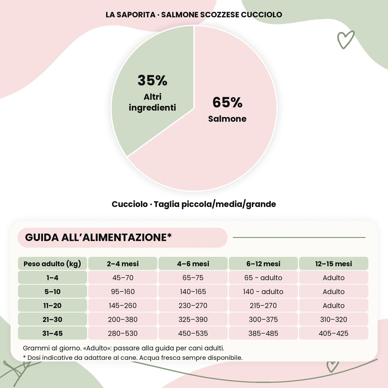 La Saporita - Monoproteico Grain Free - 65% di Salmone Human Grade con Aneto, Spinaci, Finocchi, Asparagi e Pomodori - Cane Cucciolo Taglia Piccola/Media/Grande - sacco con ingredienti