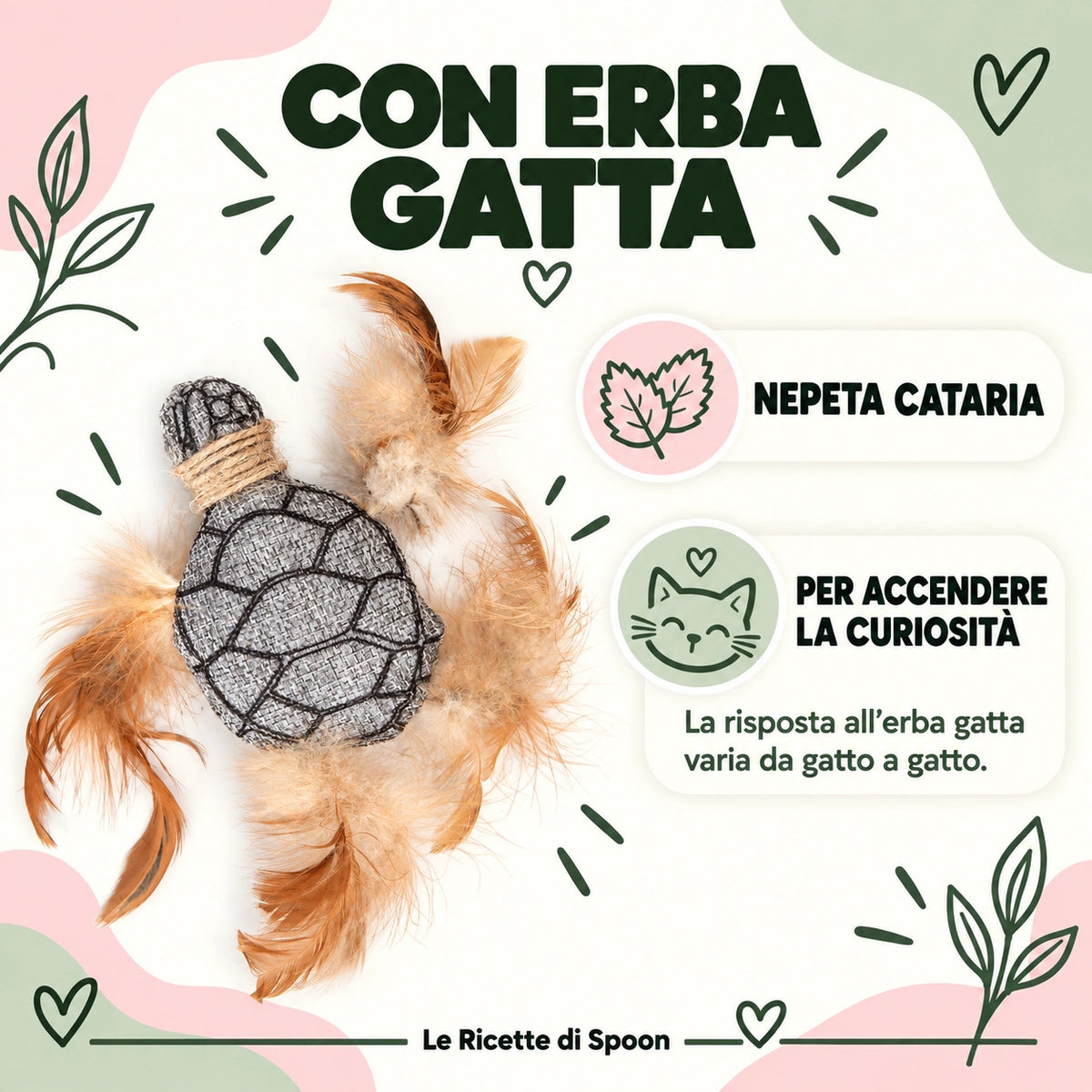 Tartaruga con erba gatta e piume | Le Ricette di Spoon | erba gatta