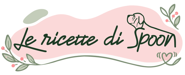Le ricette di Spoon