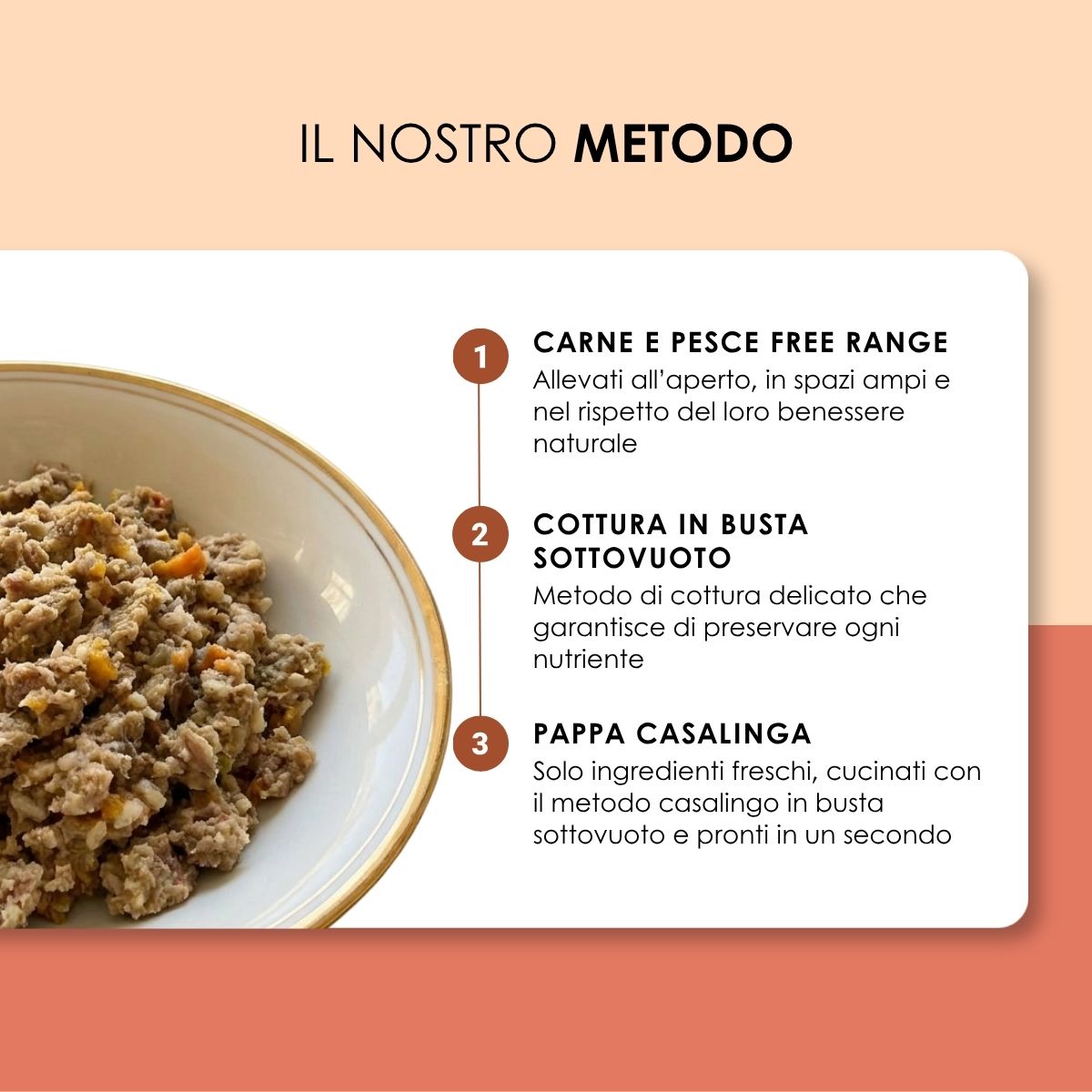Pappa Casalinga alimento completo per Gatto adulto: Quaglia con Carota, Mela e Zucca cotta in busta sottovuoto 85g
