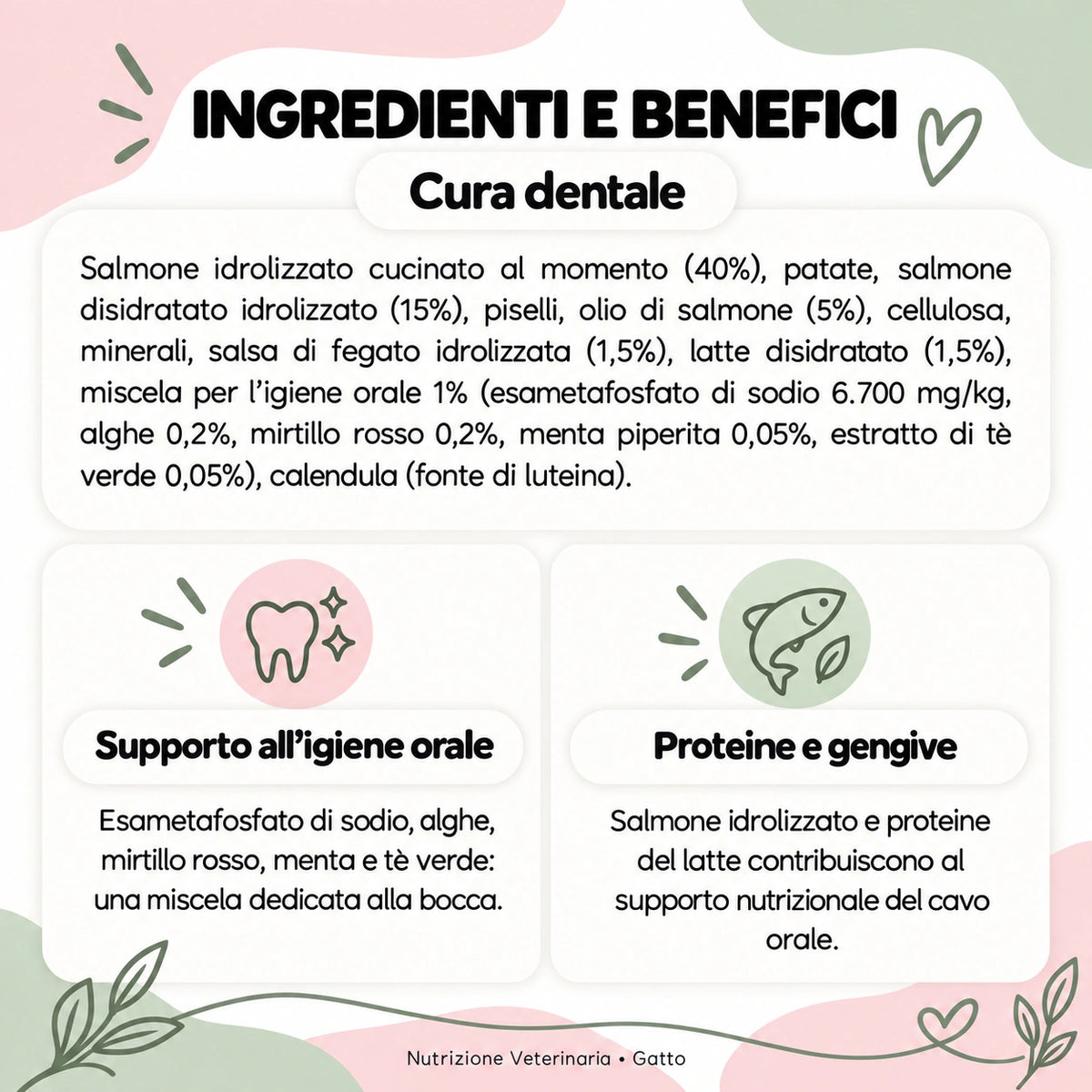 Nutrizione Veterinaria gatto – Cura dentale: ingredienti e benefici