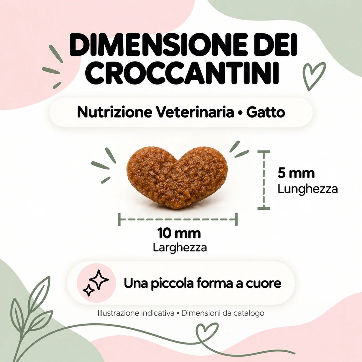 Nutrizione Veterinaria gatto – Cura dentale: dimensione crocchette