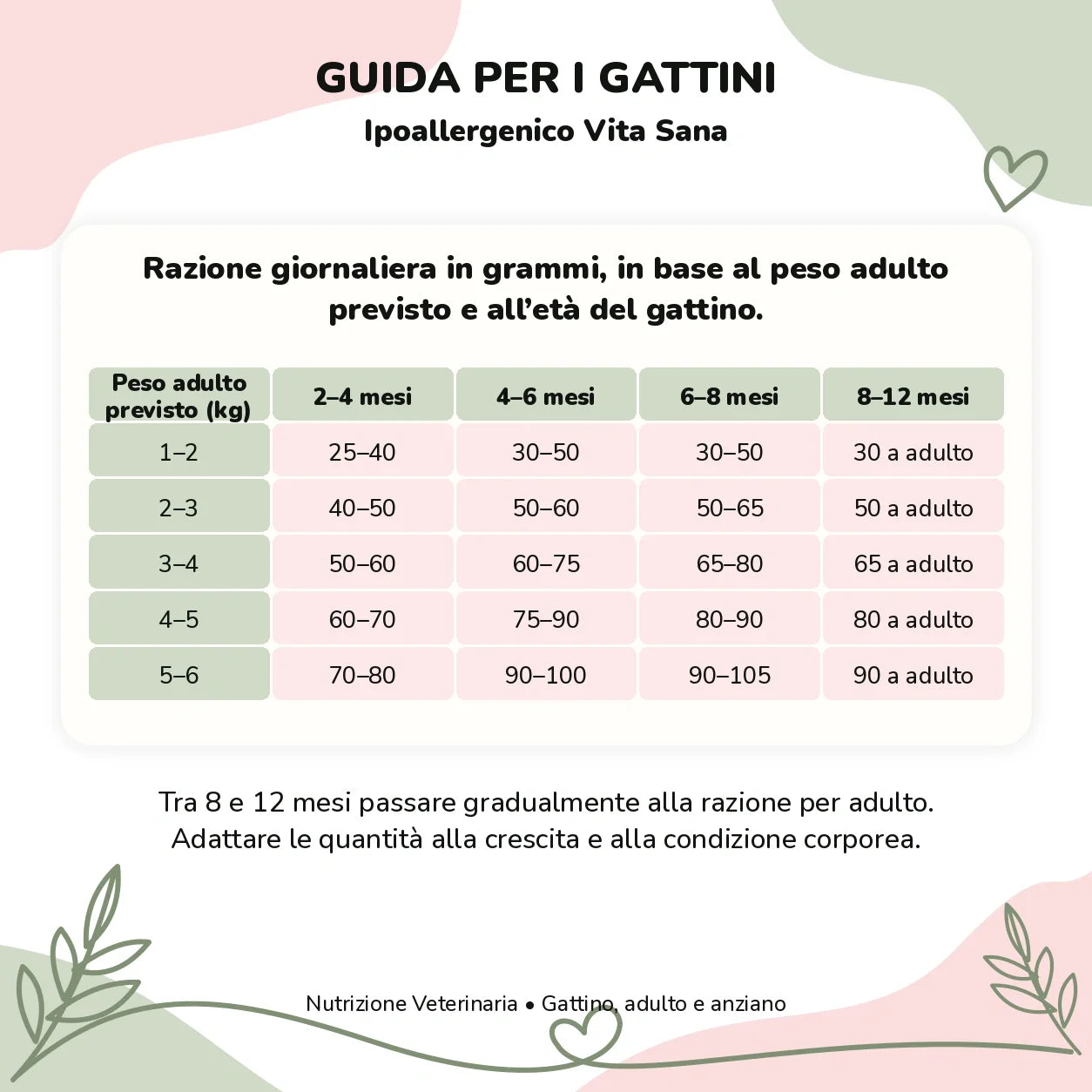 Nutrizione Veterinaria gatto – Ipoallergenico Vita Sana: guida gattini