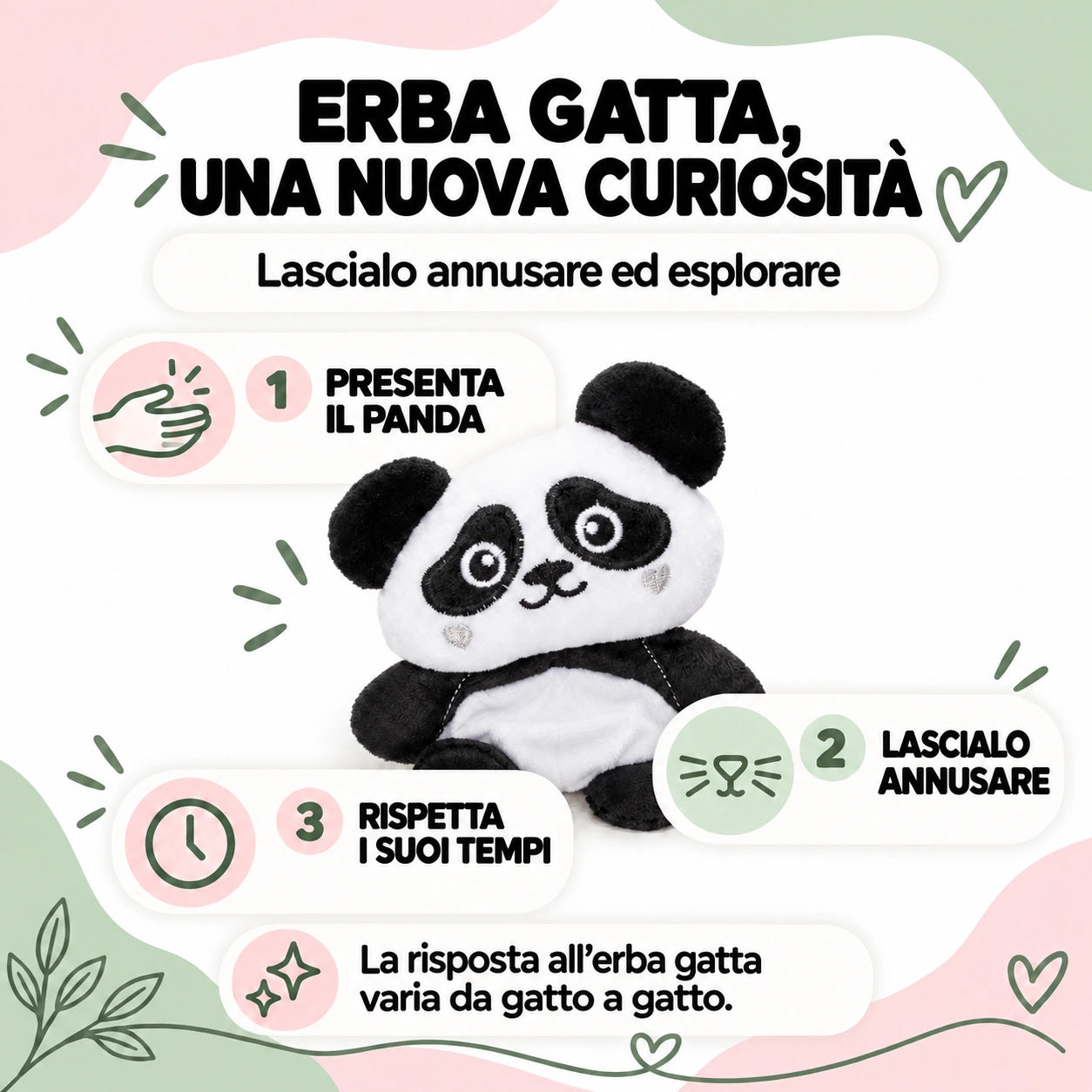 Panda con erba gatta: pancia quasi piatta da esplorare