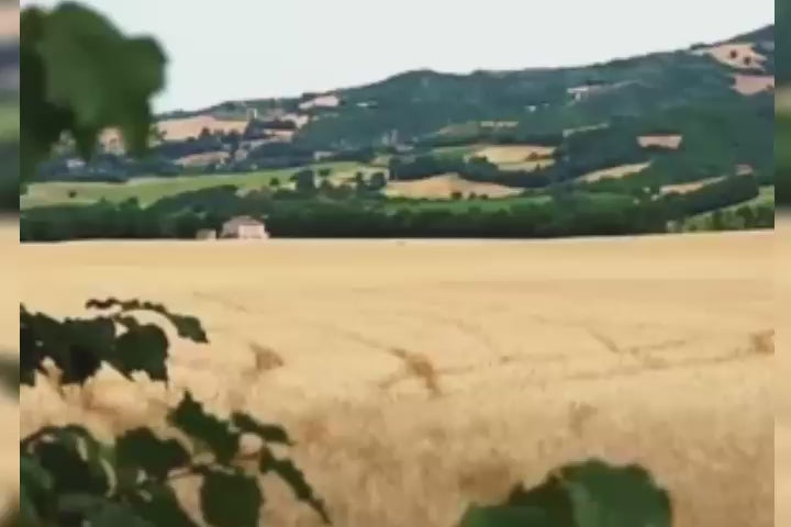 Sabbia agglomerante naturale in fibra vegetale della paglia di frumento