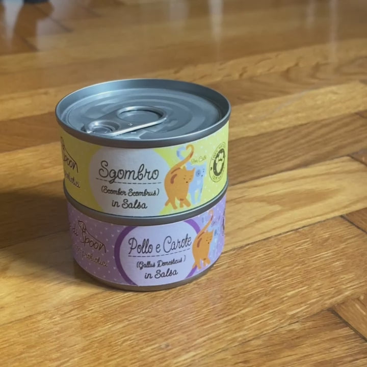 Box Degustazione 11 scatolette (11x85gr) di umido gatto