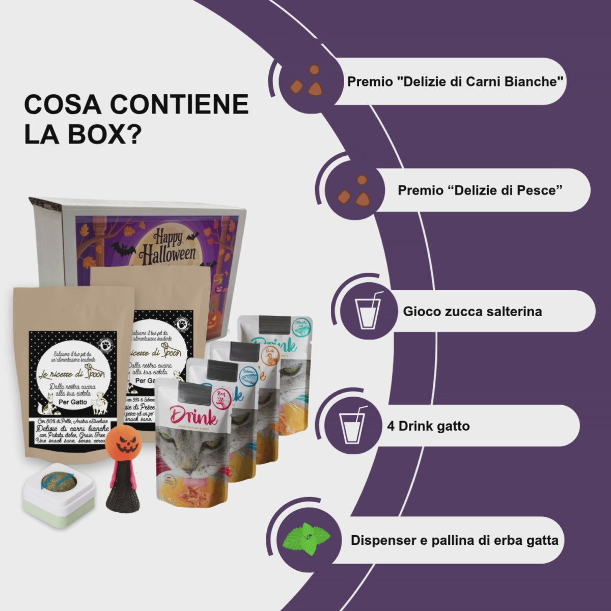 Box Halloween per Gatti