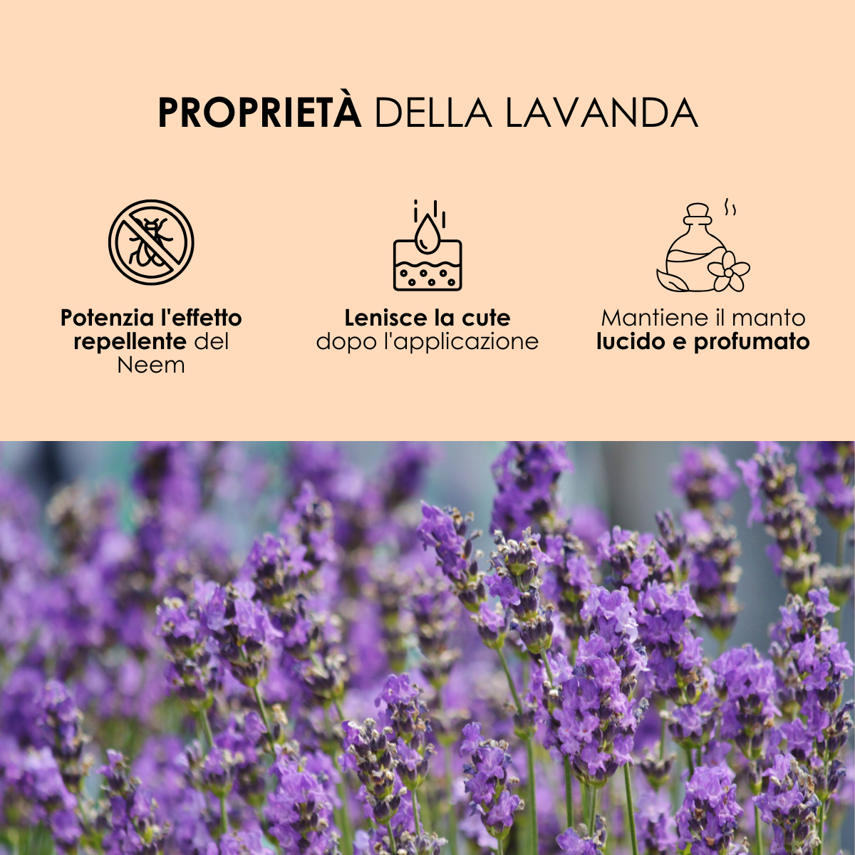 Antiparassitario Gocce Naturali Lavanda e Neem - Defence