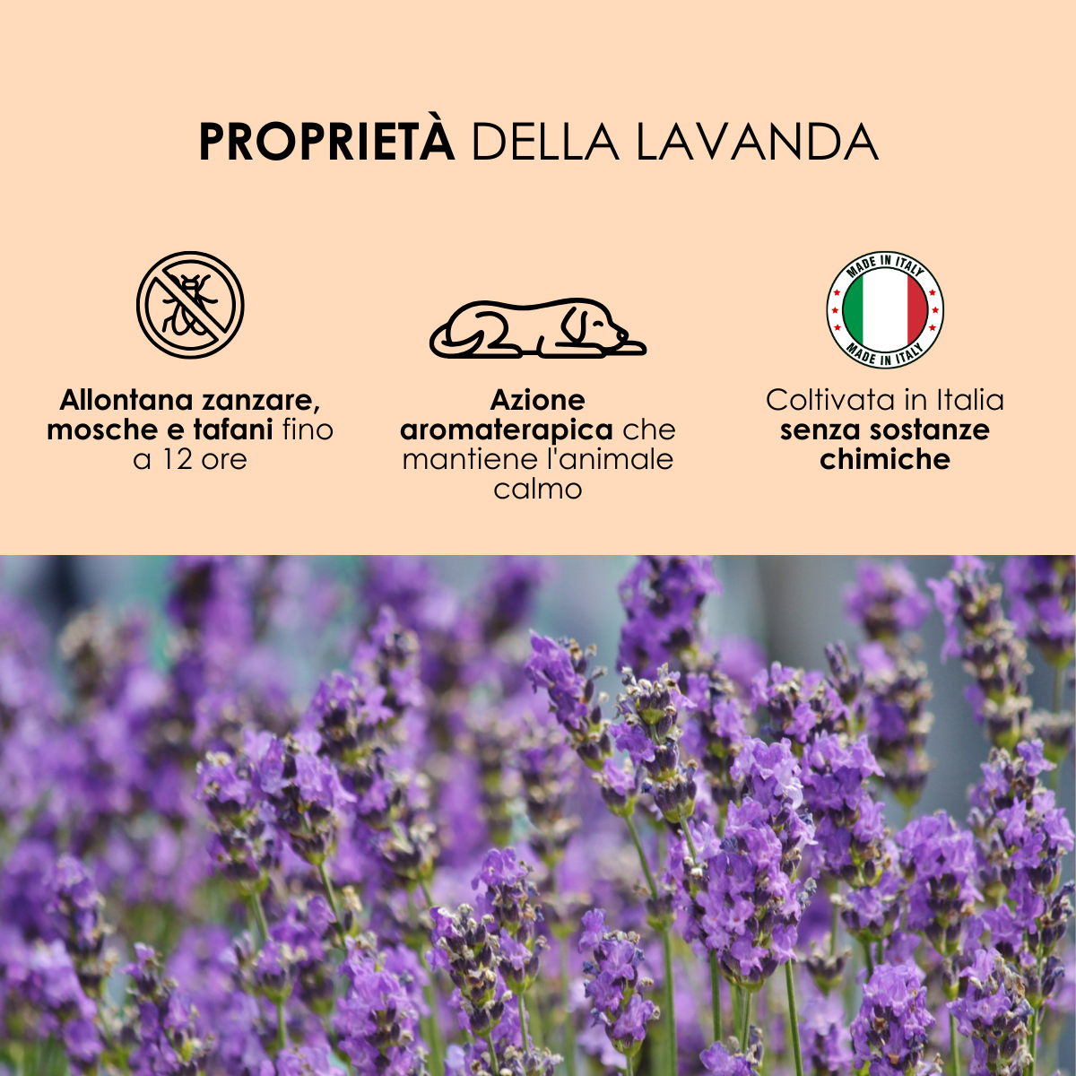 Antiparassitario Microgel Spray Naturale - Protective 90% Lavanda e Neem