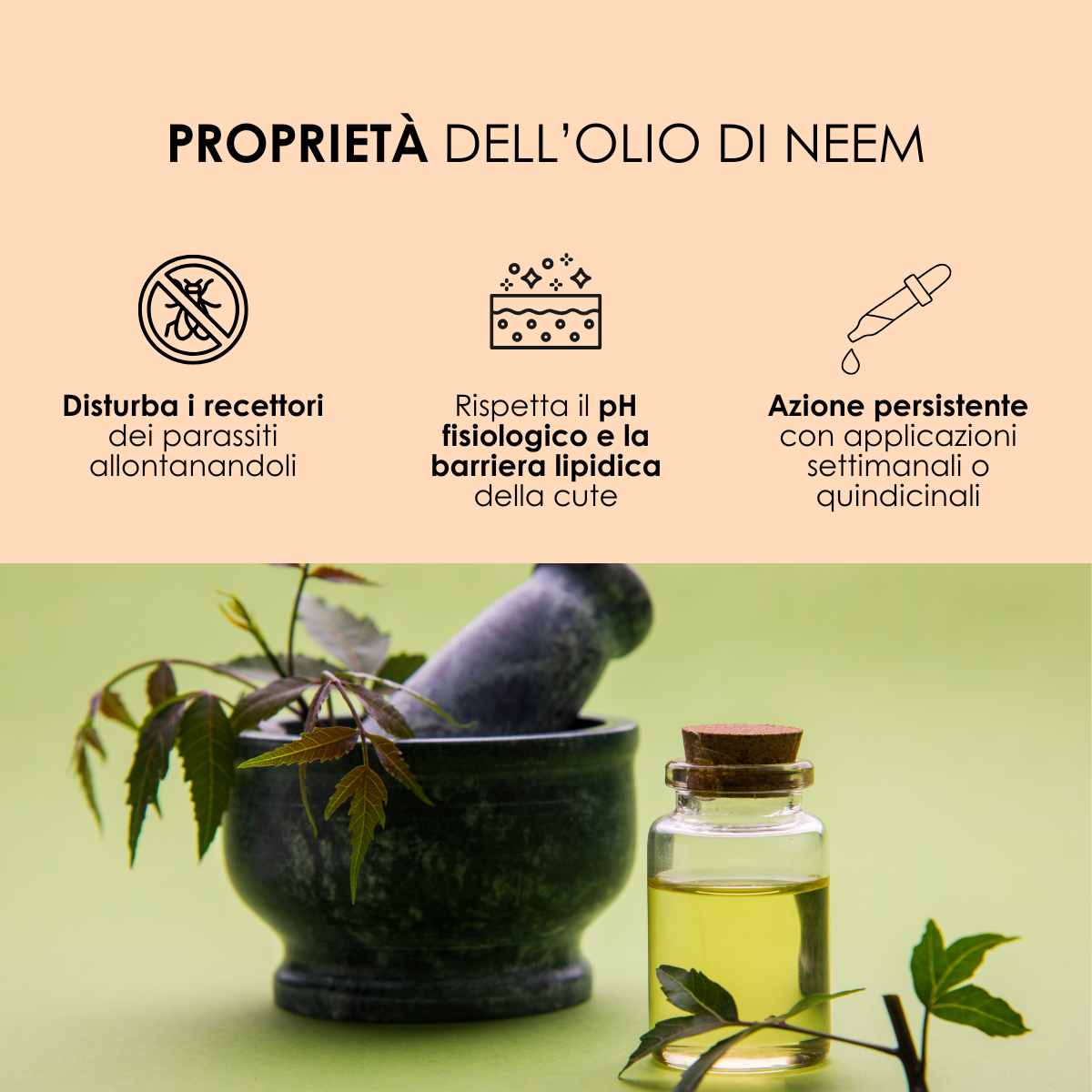 Antiparassitario Gocce Naturali Lavanda e Neem - Defence