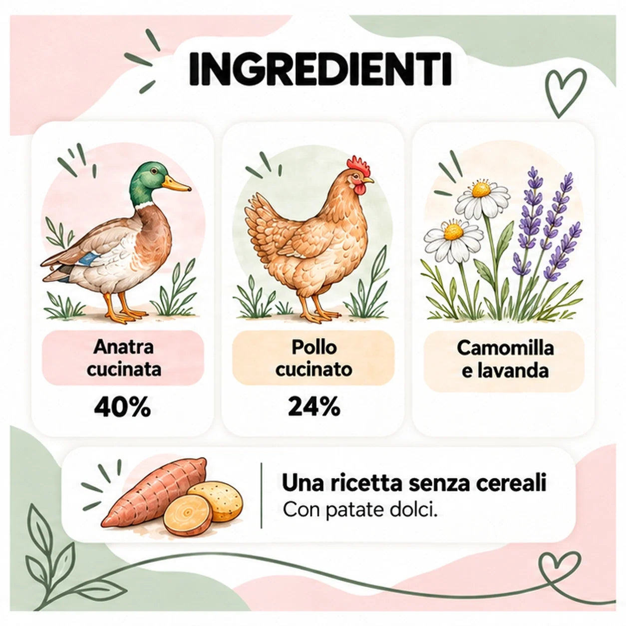Fitocalmante – Snack per cane senza cereali – 70 g – ingredienti ad acquerello