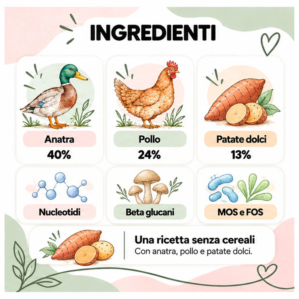 Immunostimolante – Snack per cane senza cereali – 70 g – ingredienti ad acquerello