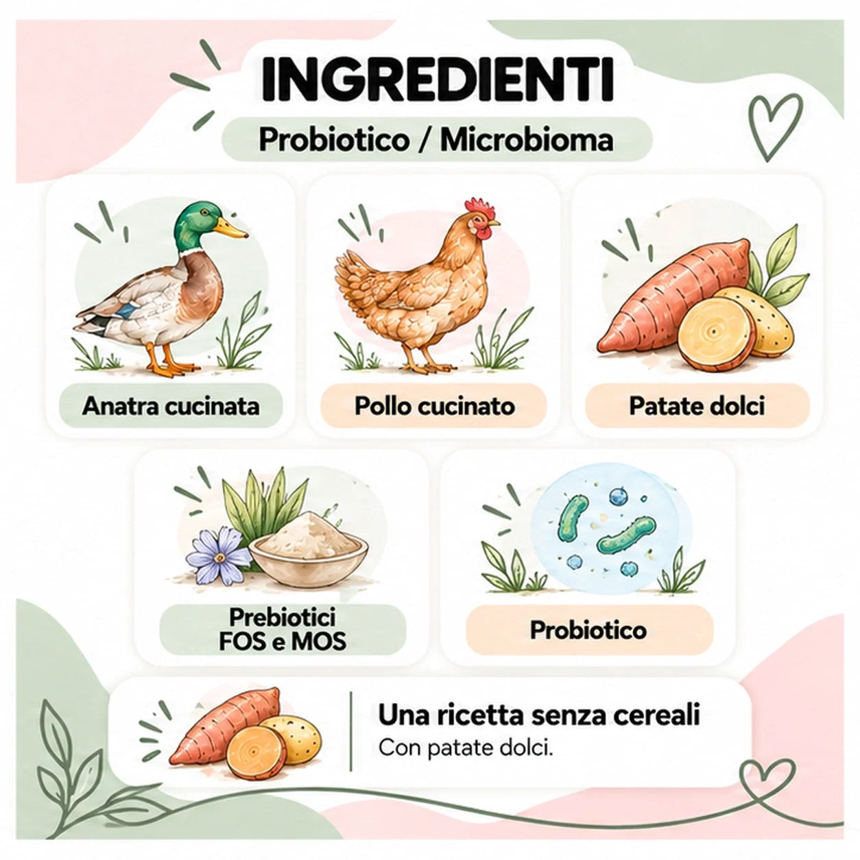 Microbioma – Snack per cane senza cereali – 70 g – ingredienti ad acquerello