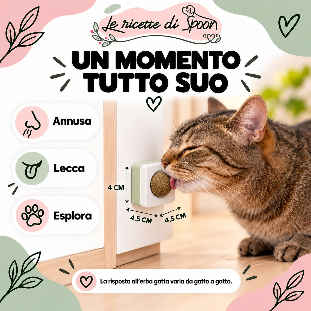 Gatto con dispenser di erba gatta — annusa, lecca, esplora