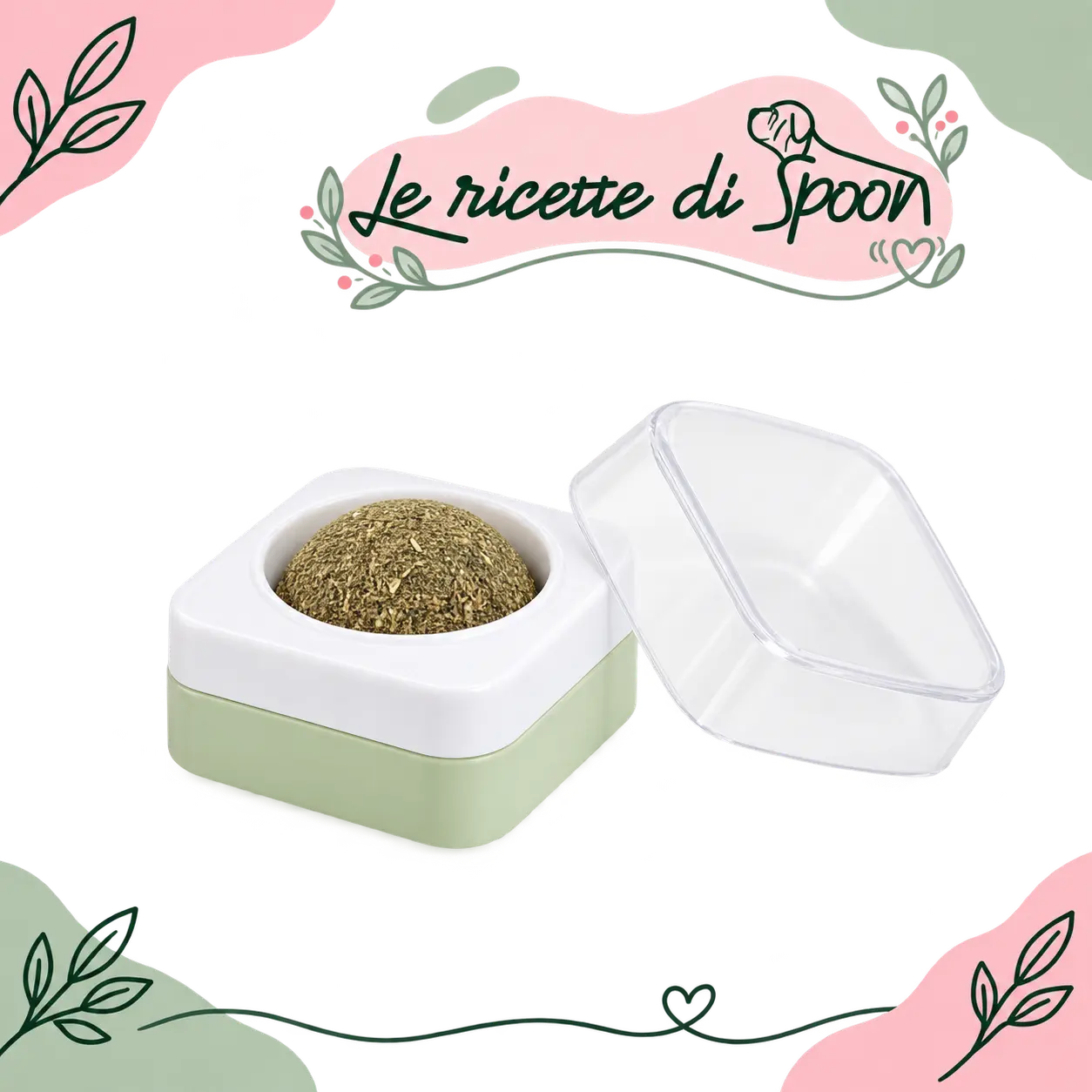 Dispenser di erba gatta con coperchio — sfondo trasparente
